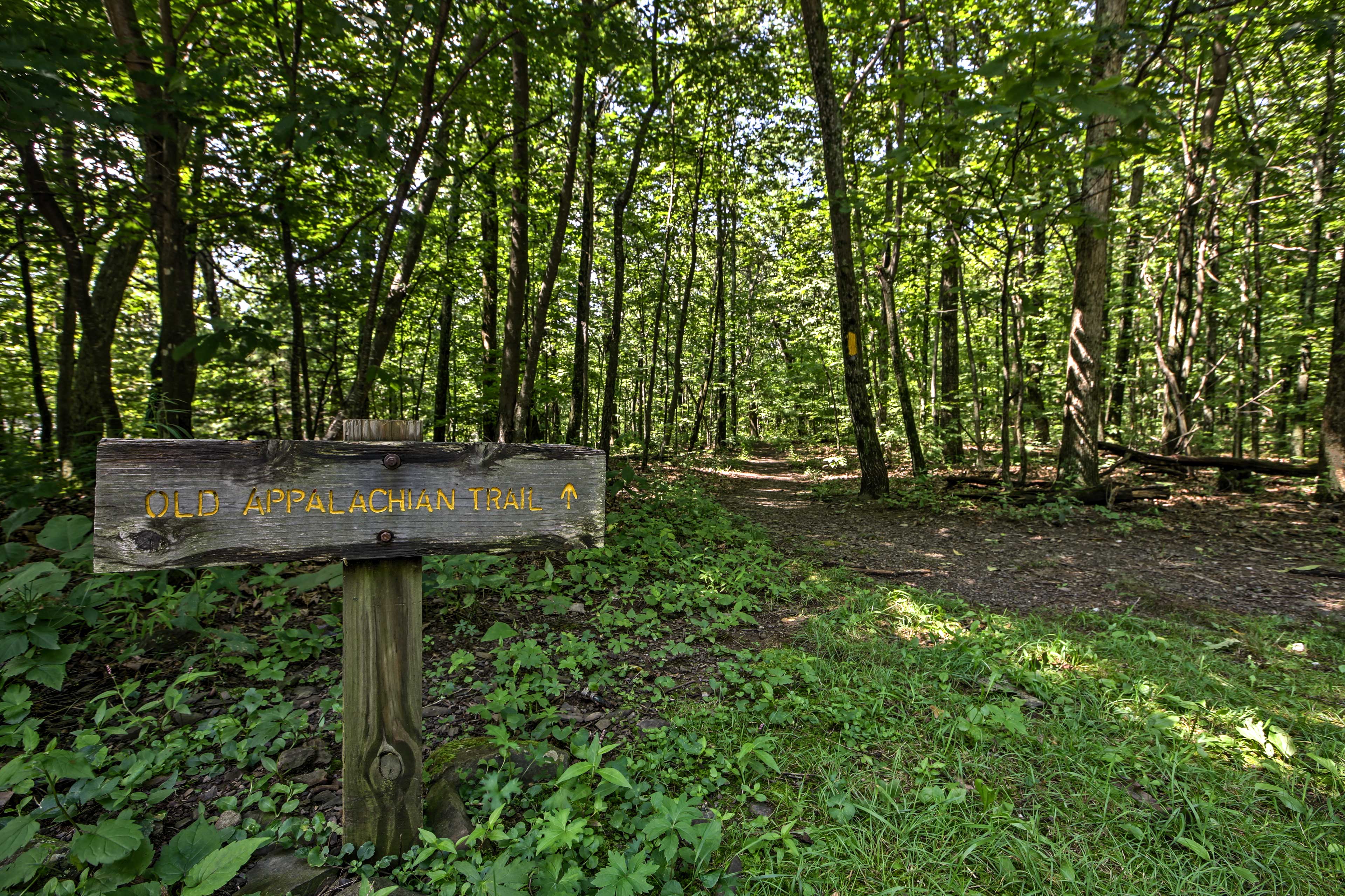 Appalachian Trail