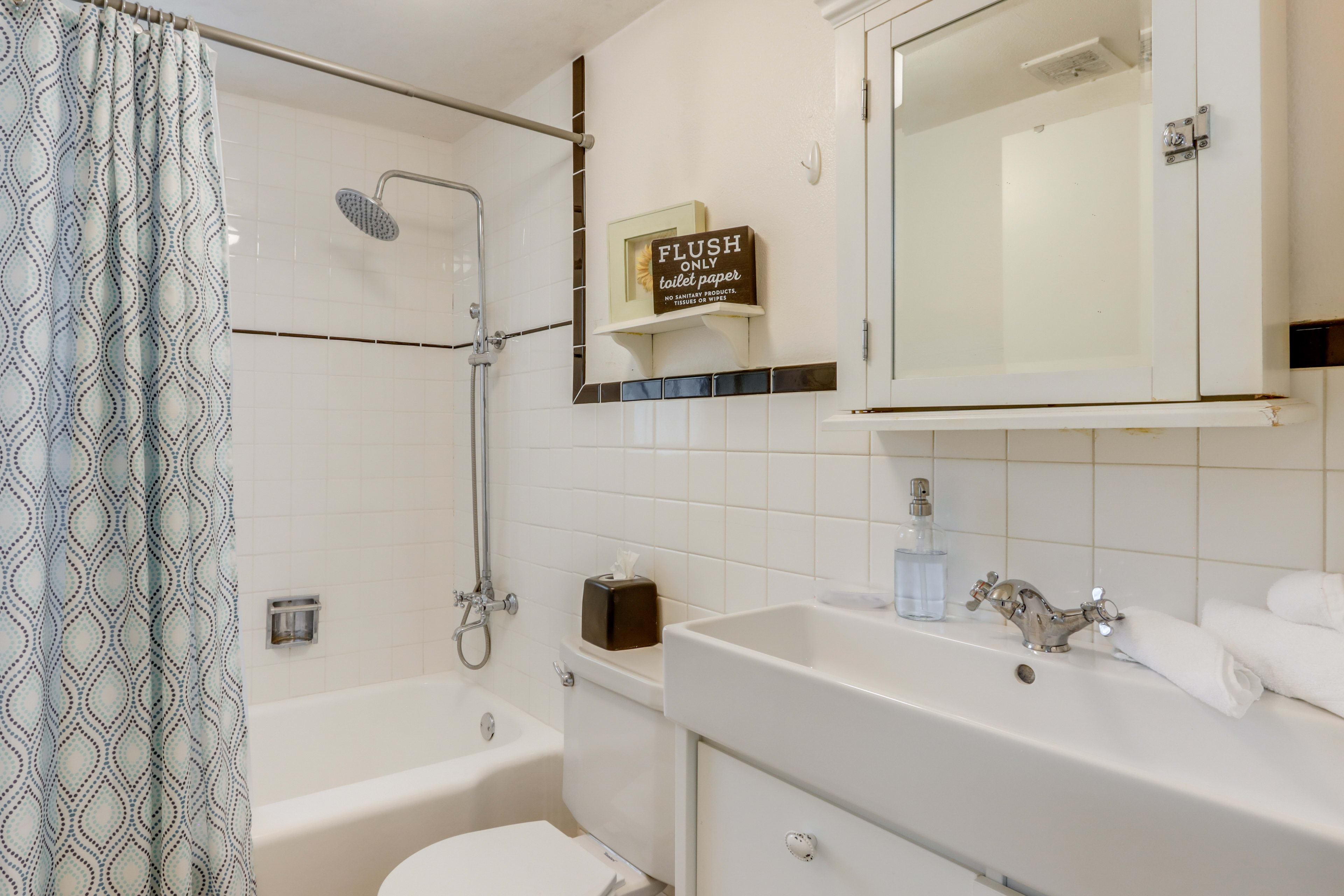 Full Bathroom | Lower Level | Hair Dryer