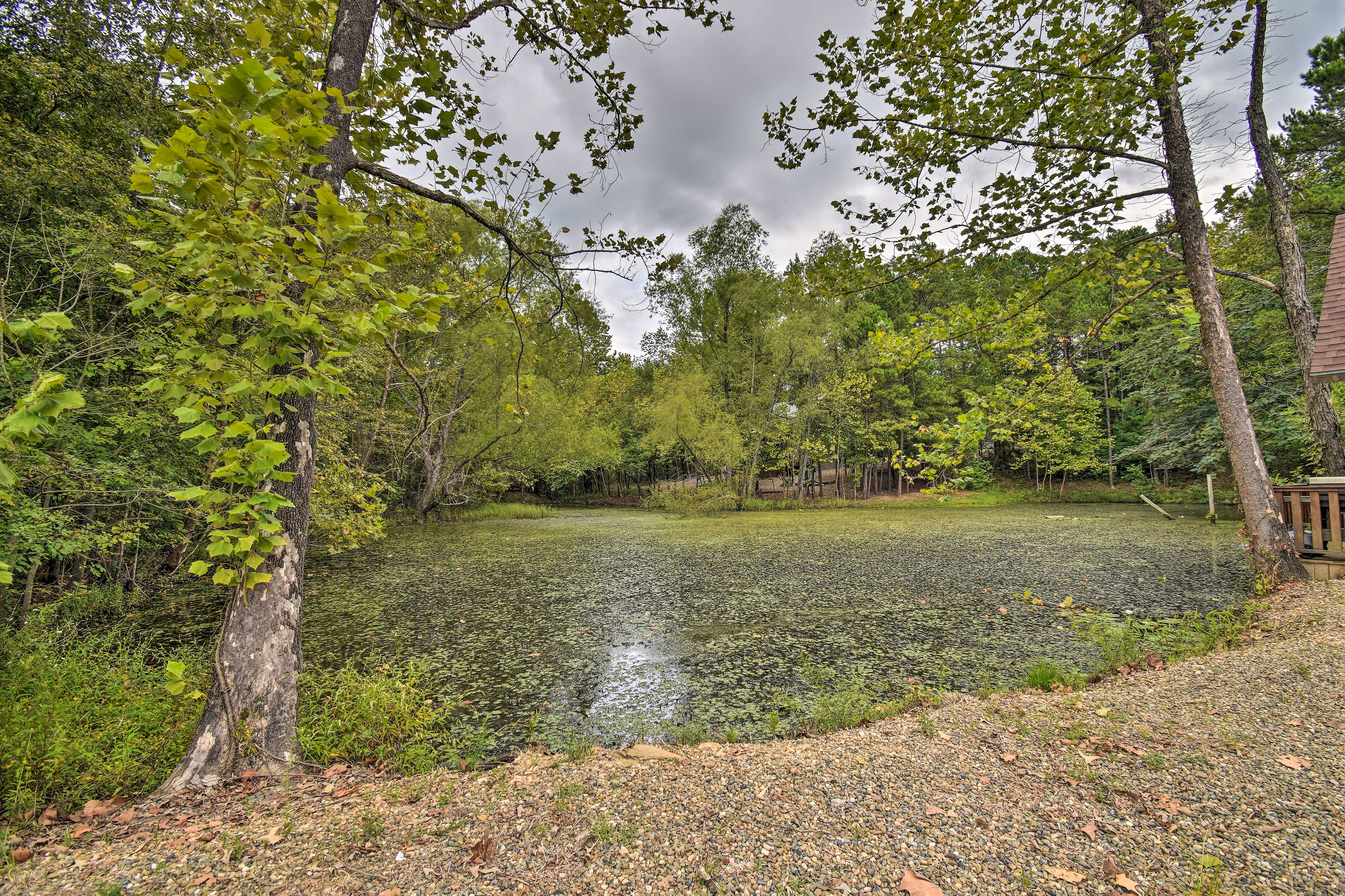 Cabin Exterior | On Fishing Pond