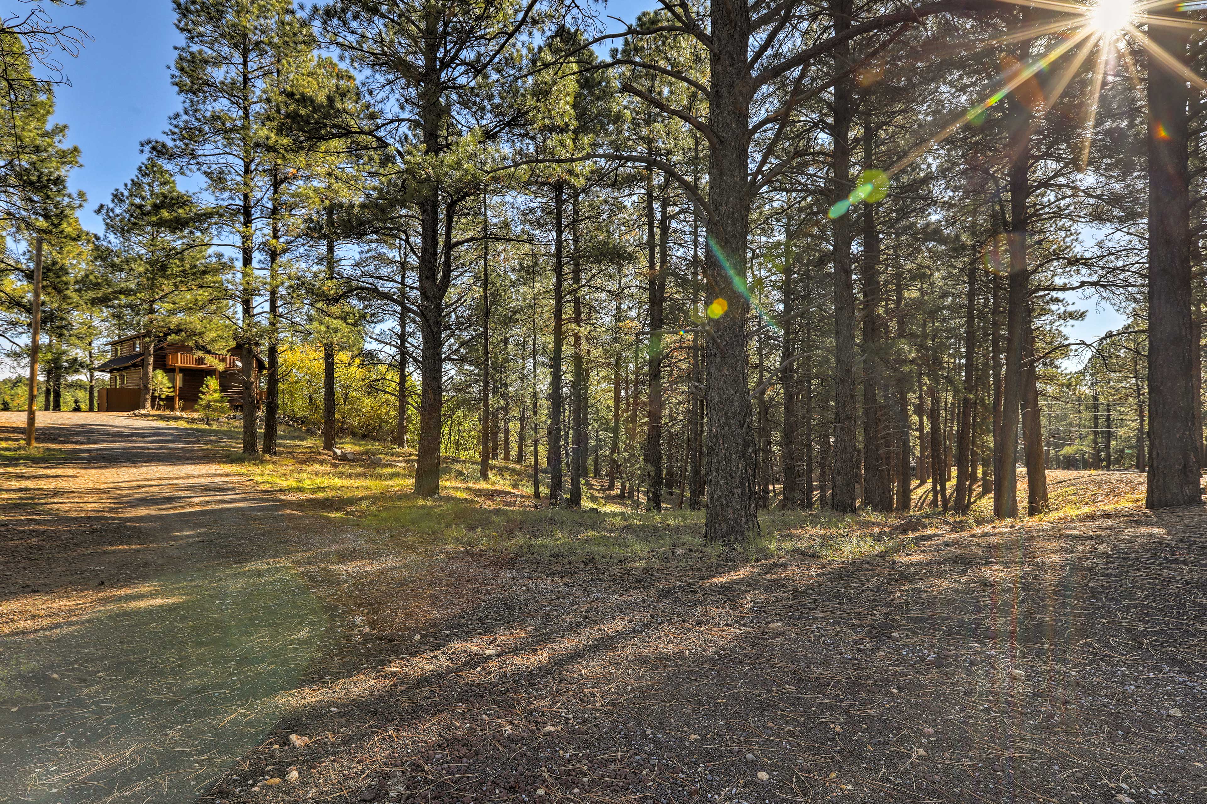 Property Grounds | 4 Private Acres