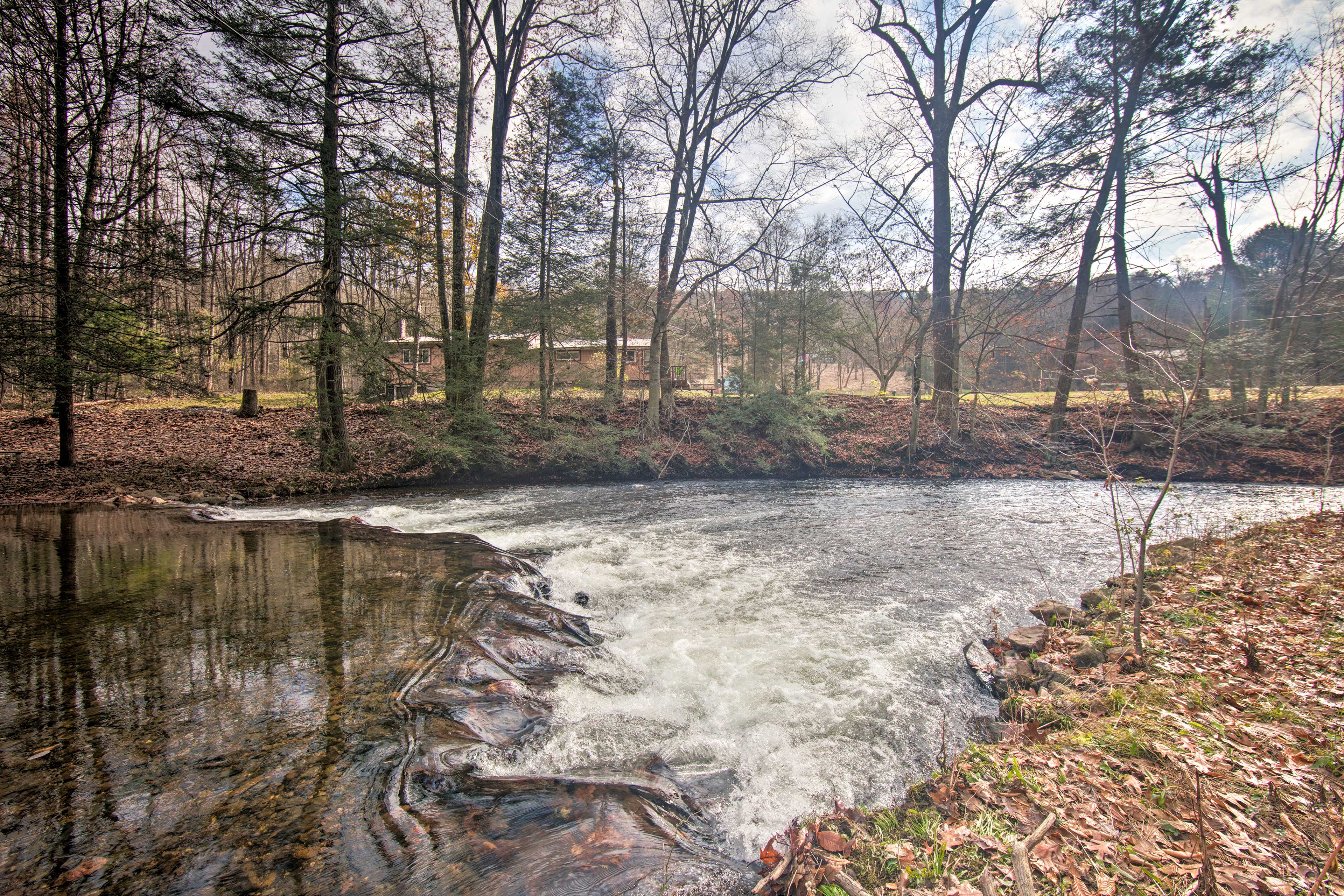 Stoney Creek | Catch and Release Fishing