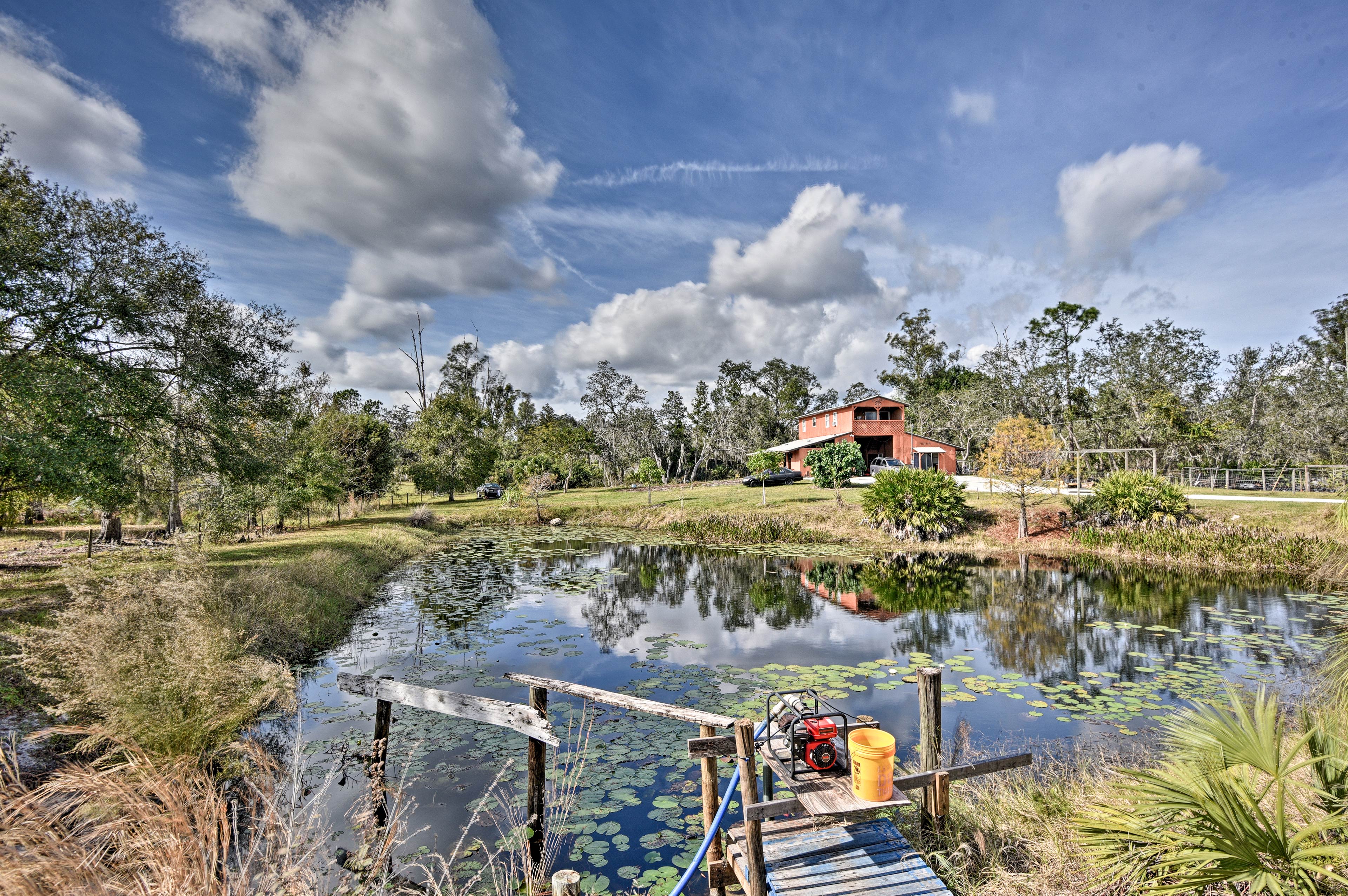 Fishing Pond