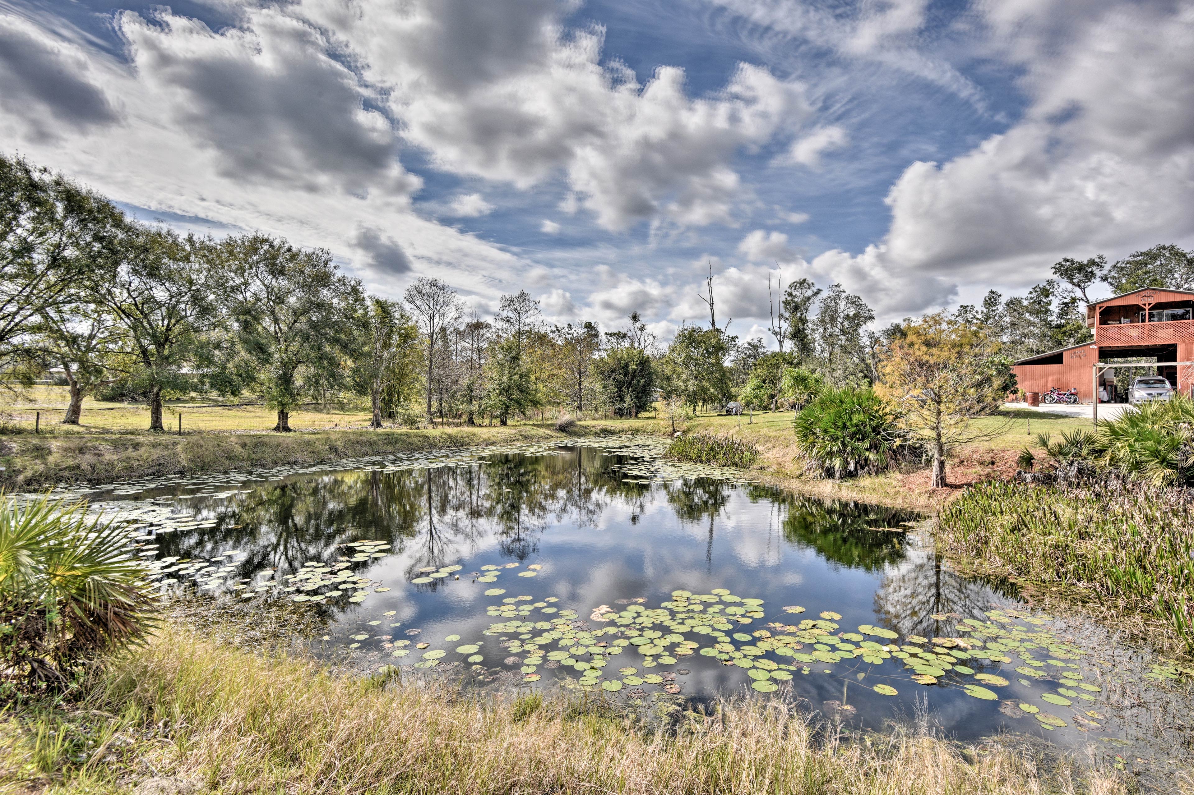 FIshing Pond