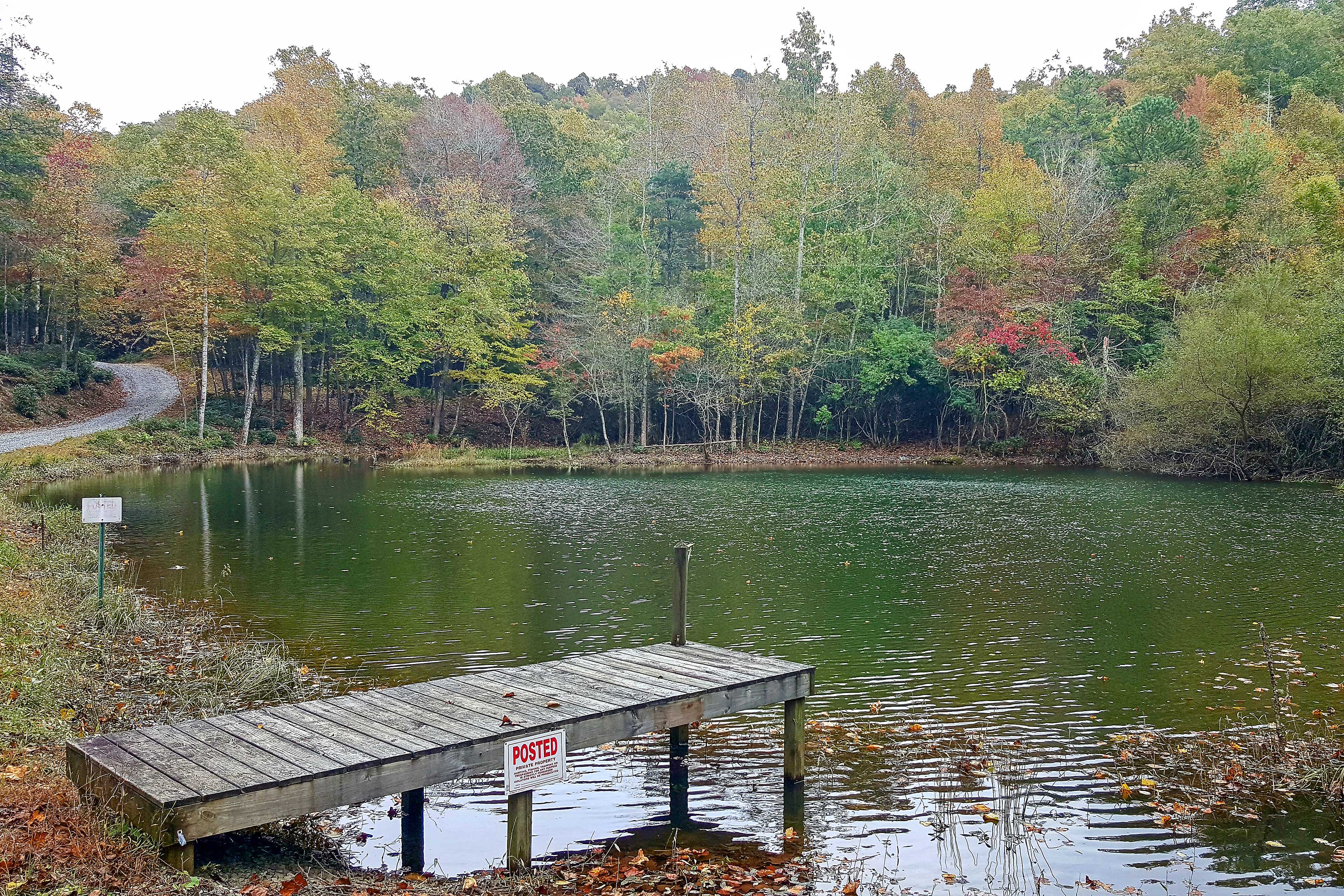 On-Site Pond | Fishing