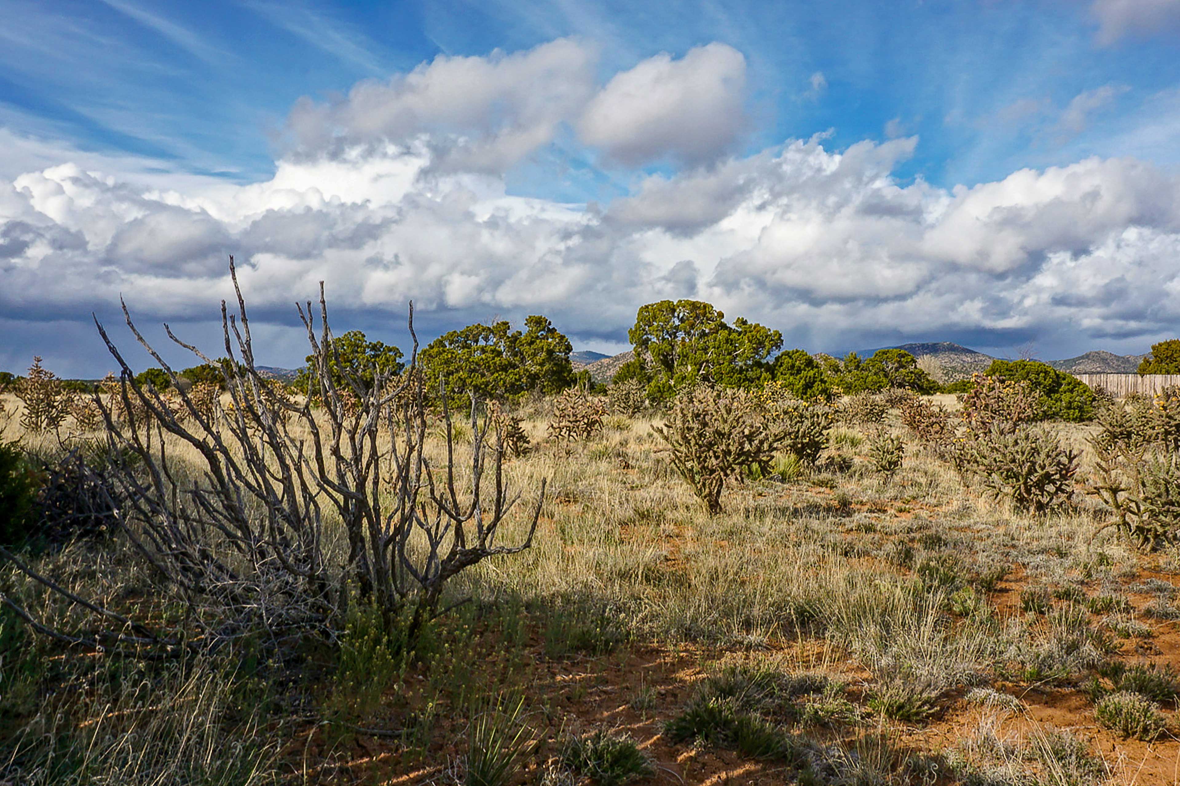 Watch for wildlife roaming around the scenic landscape.