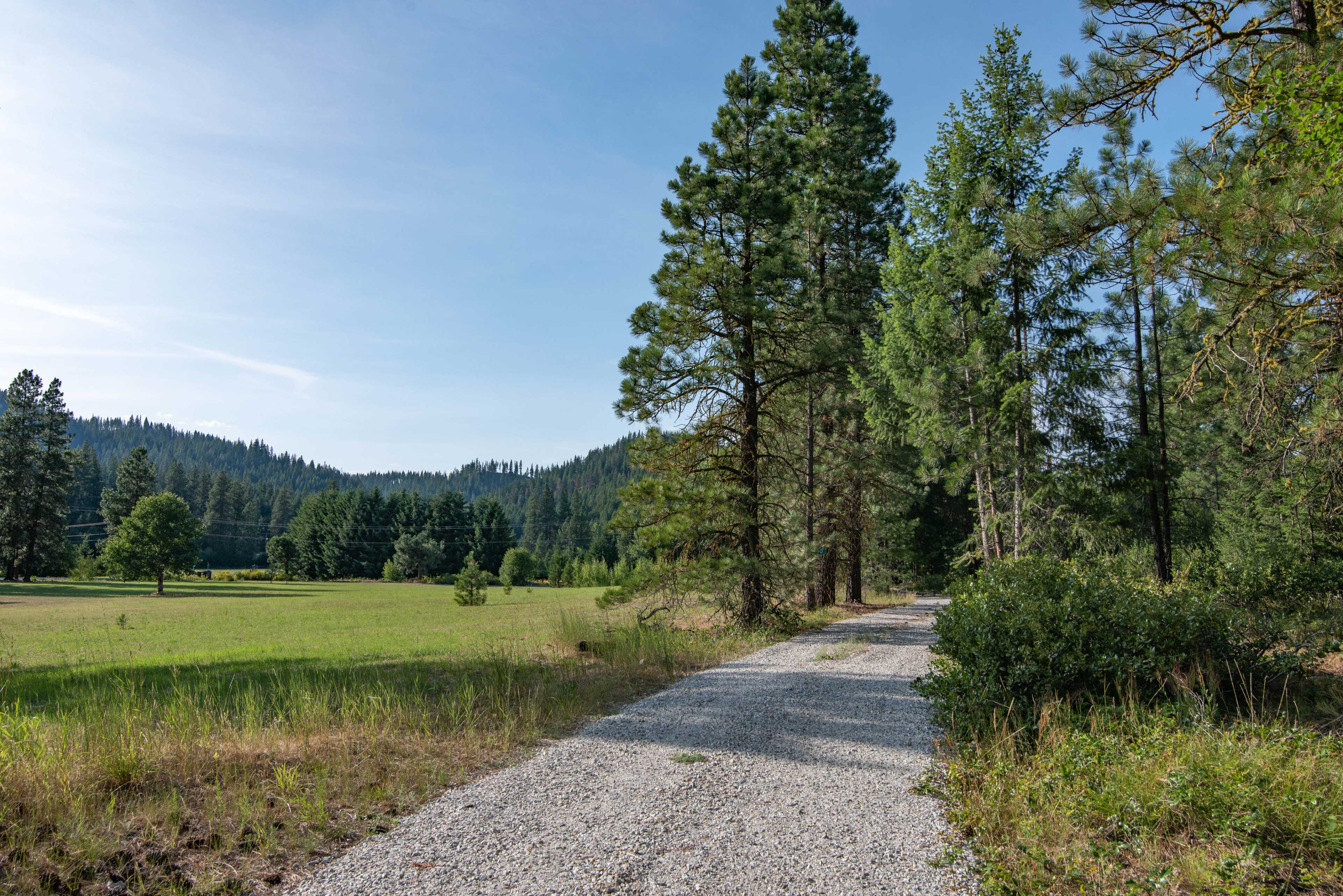 Scenic Driveway