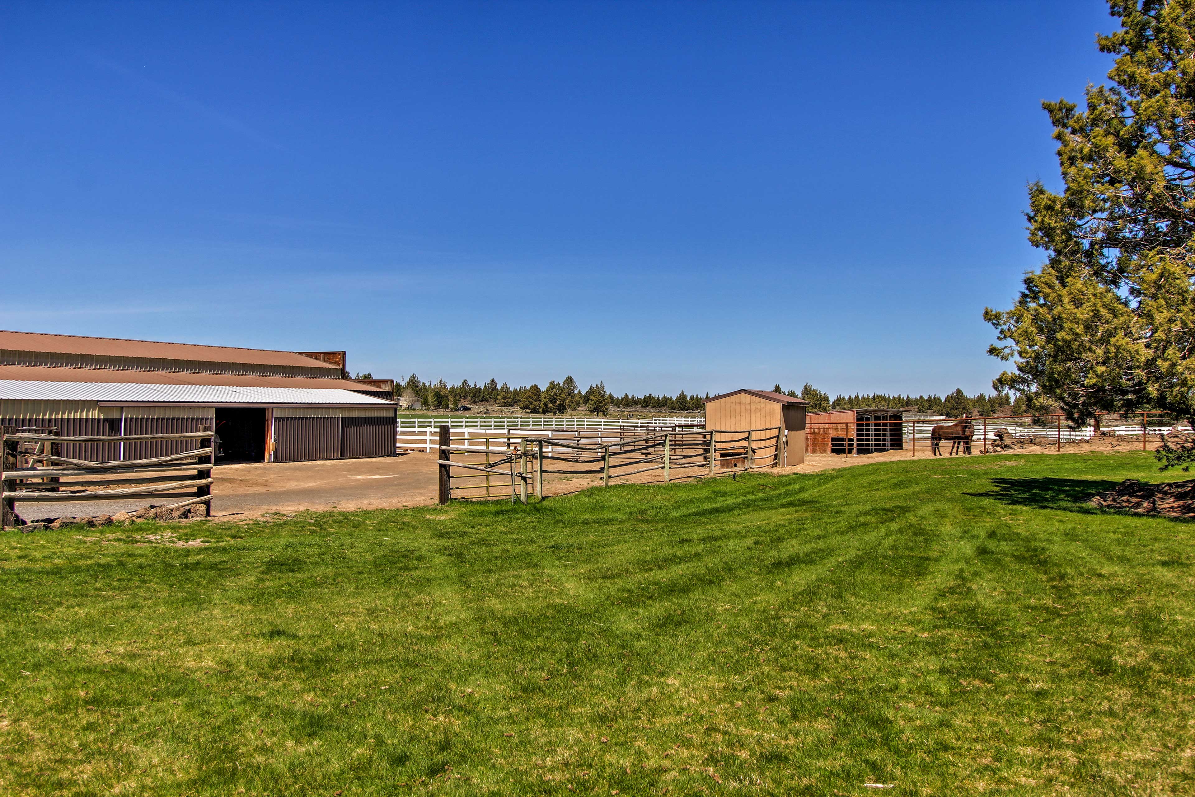 Horse Stables