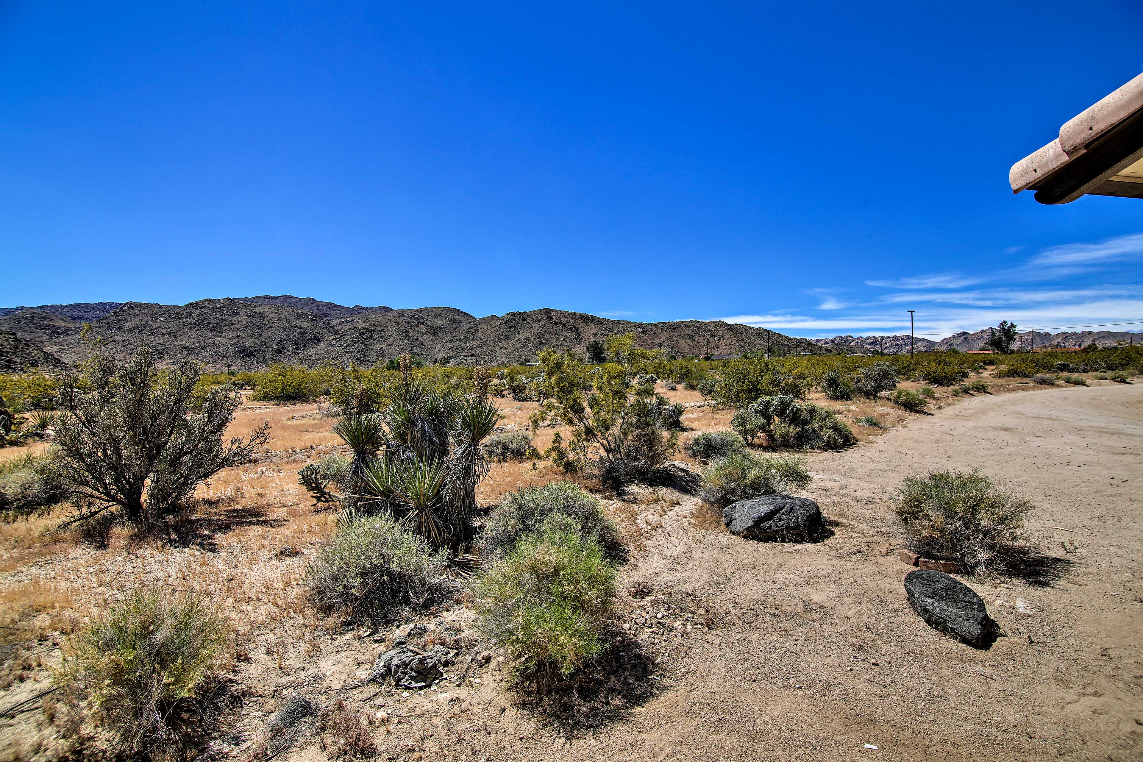 Desert Views