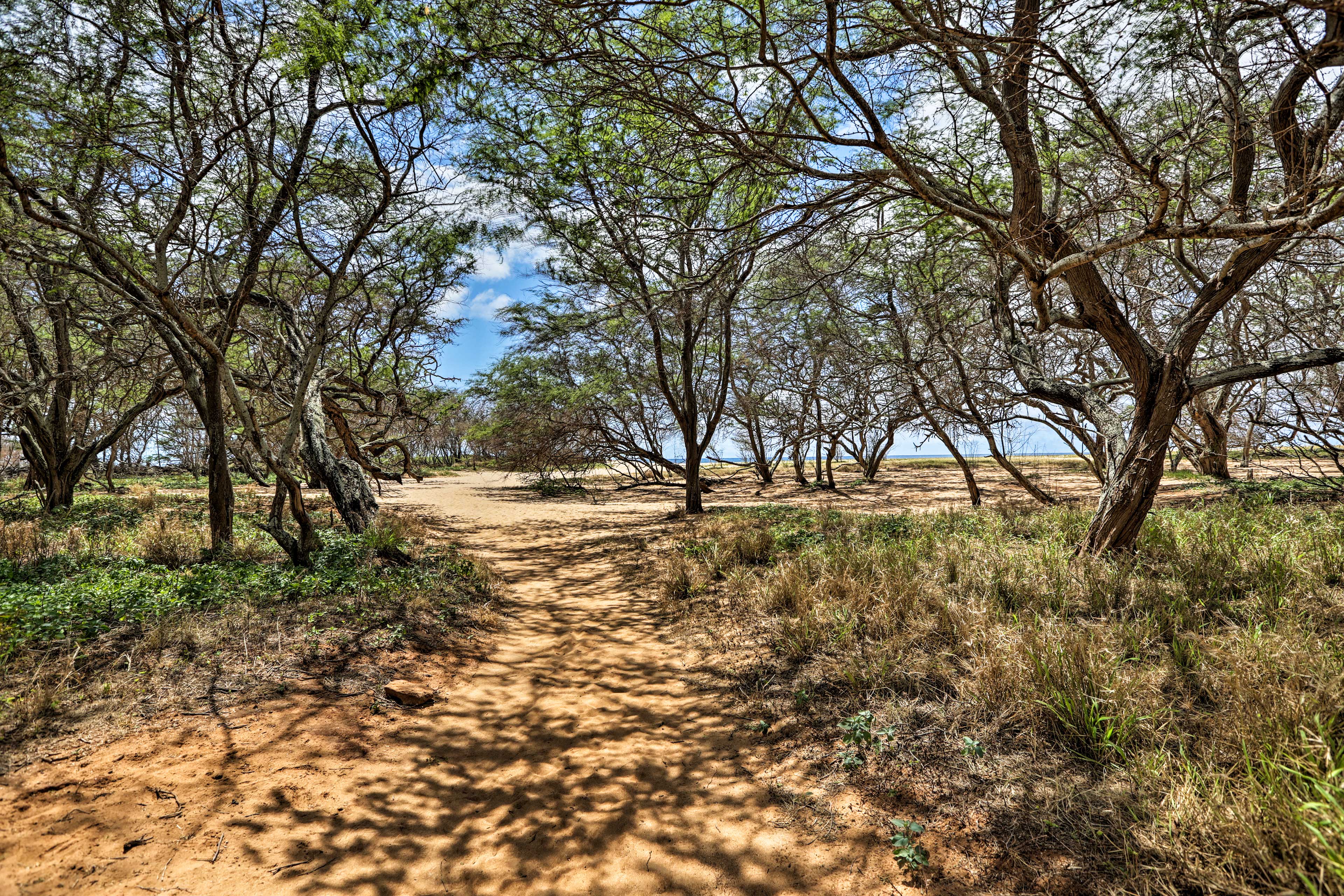 Beach Access