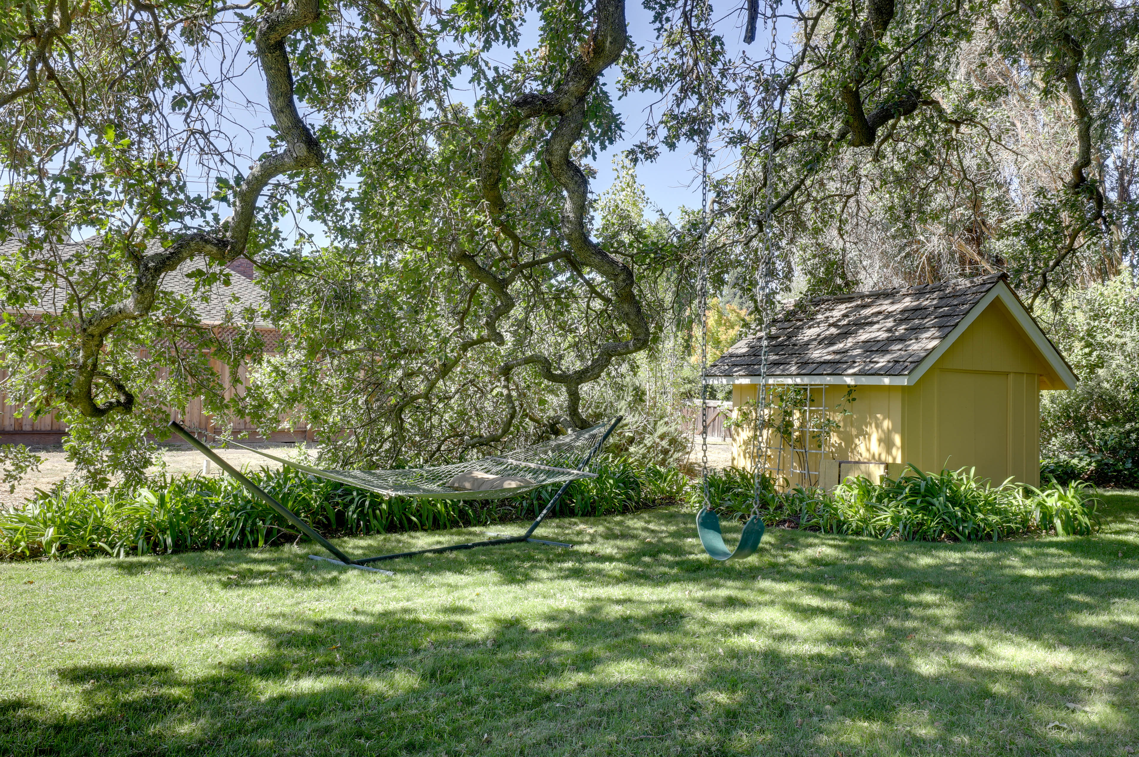 Spacious Yard | Dog Friendly | Hammock