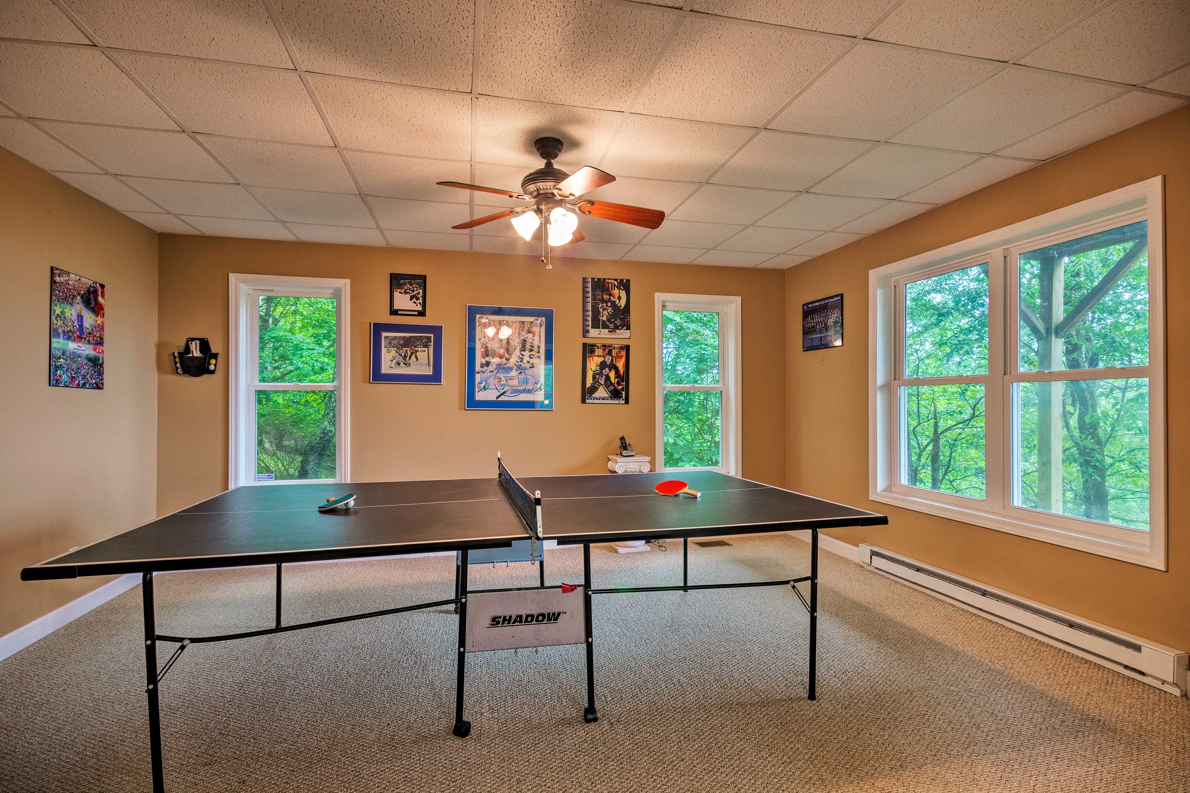 Game Area | Ping Pong Table