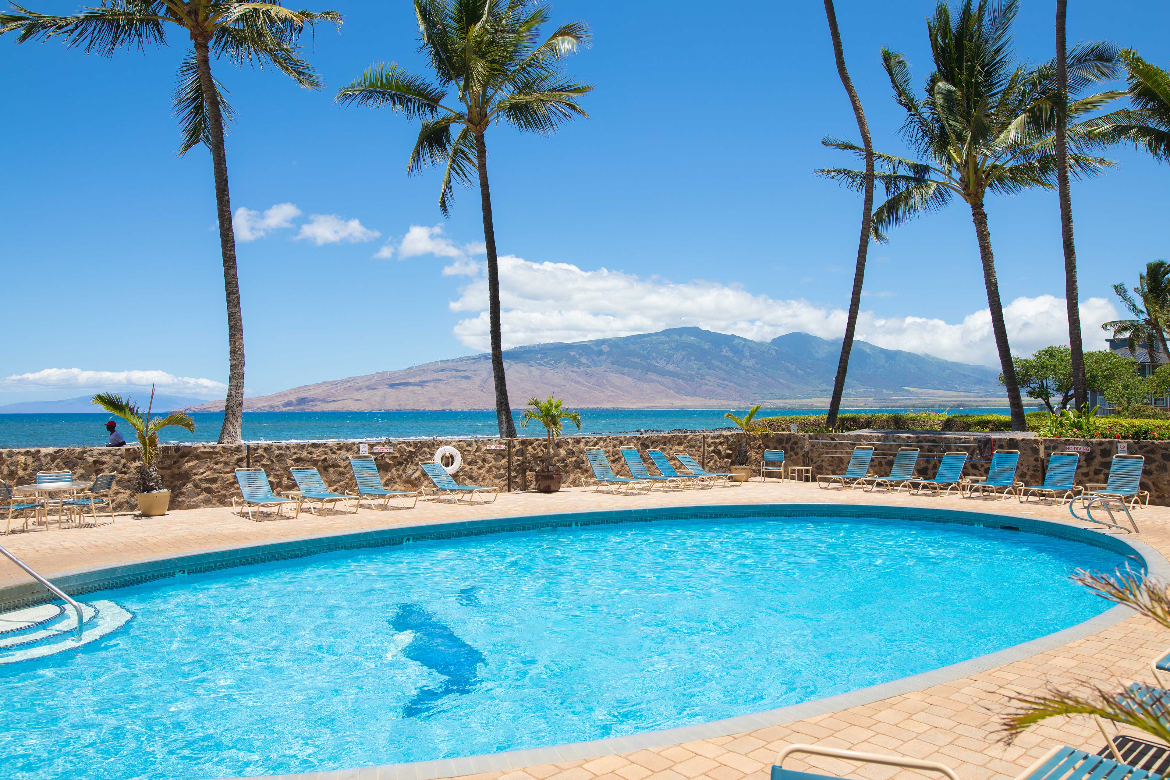 Make your next trip to Maui the best one yet!