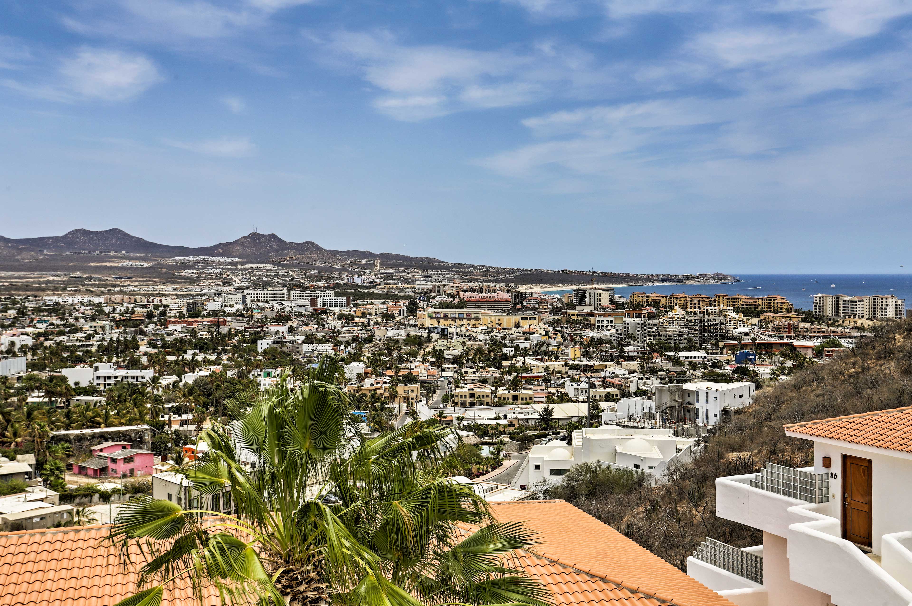 Catch a view of the water and the city!