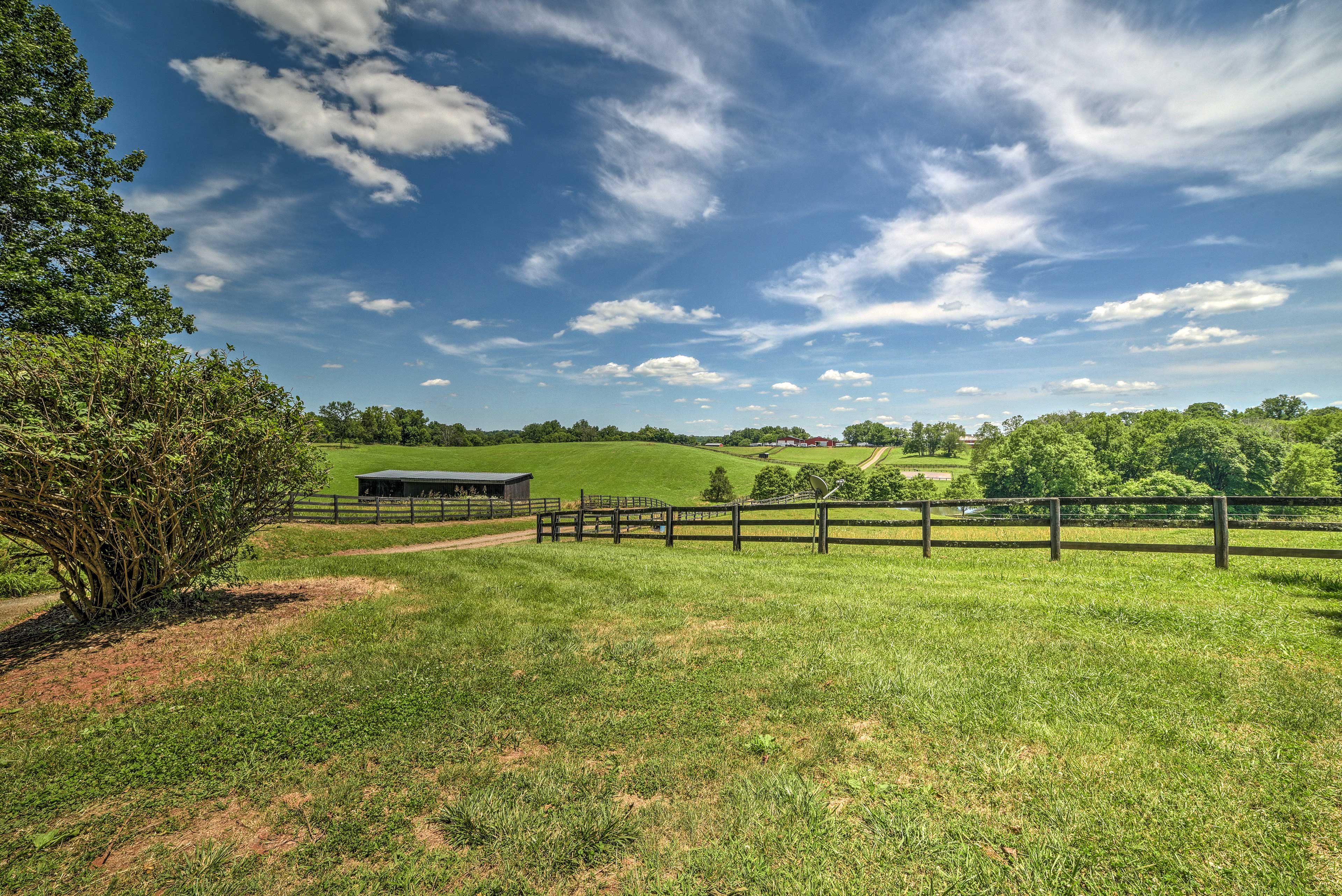 Surrounding Views of Liberty Hall Plantation