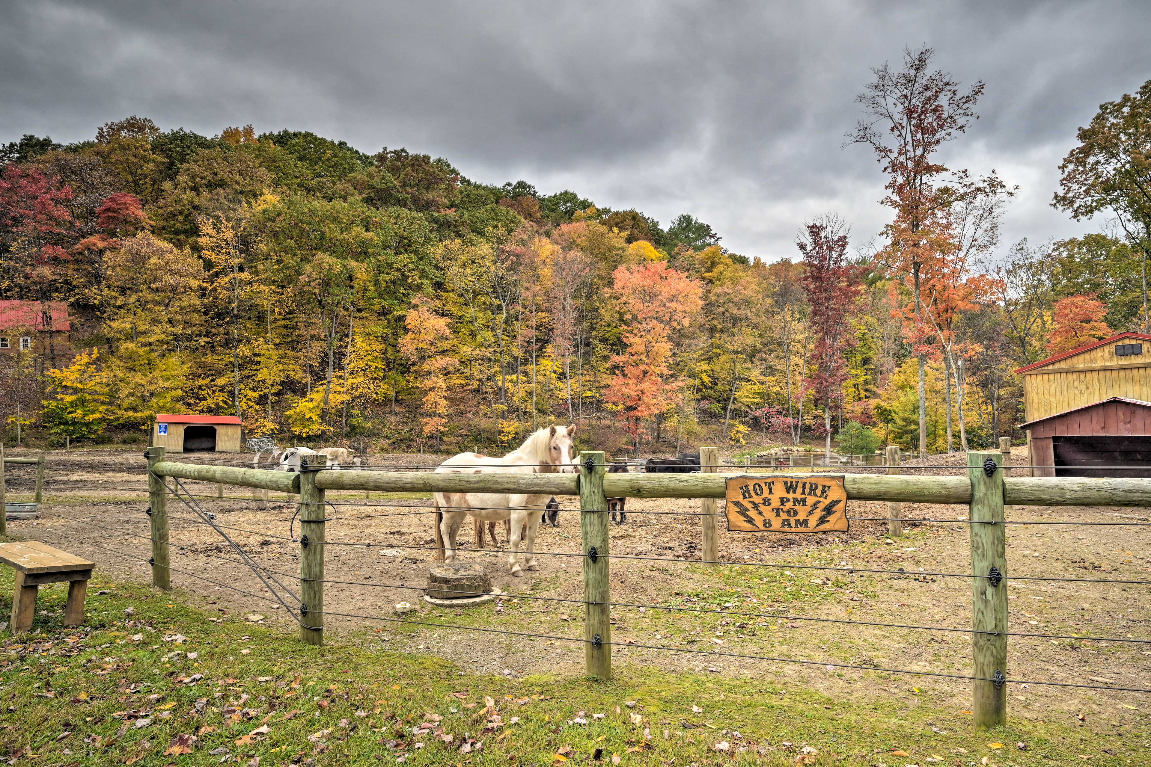 Community Horse Stables