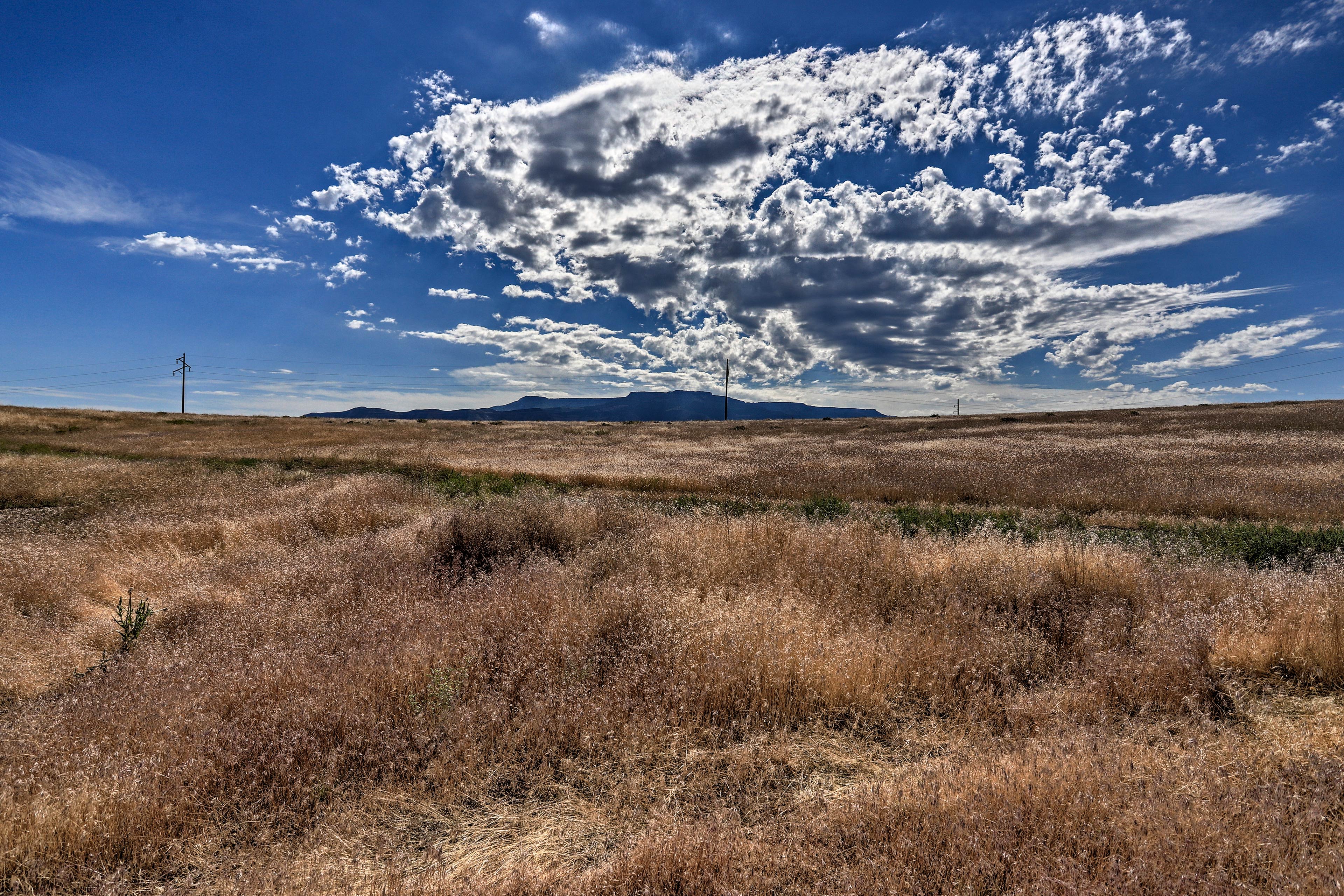 Palisade offers beautiful vineyards and ochards!