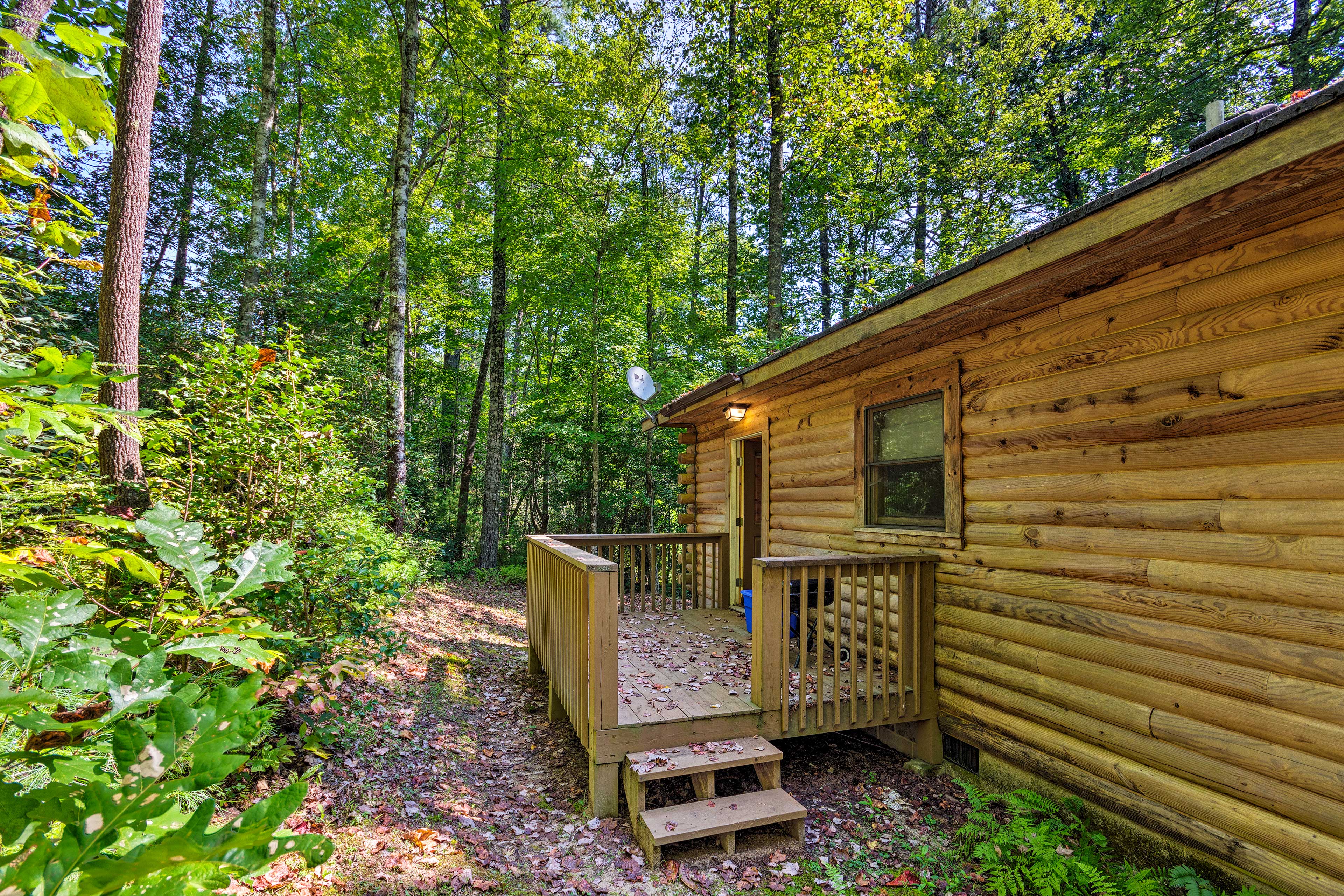 Back Deck | Charcoal Grill