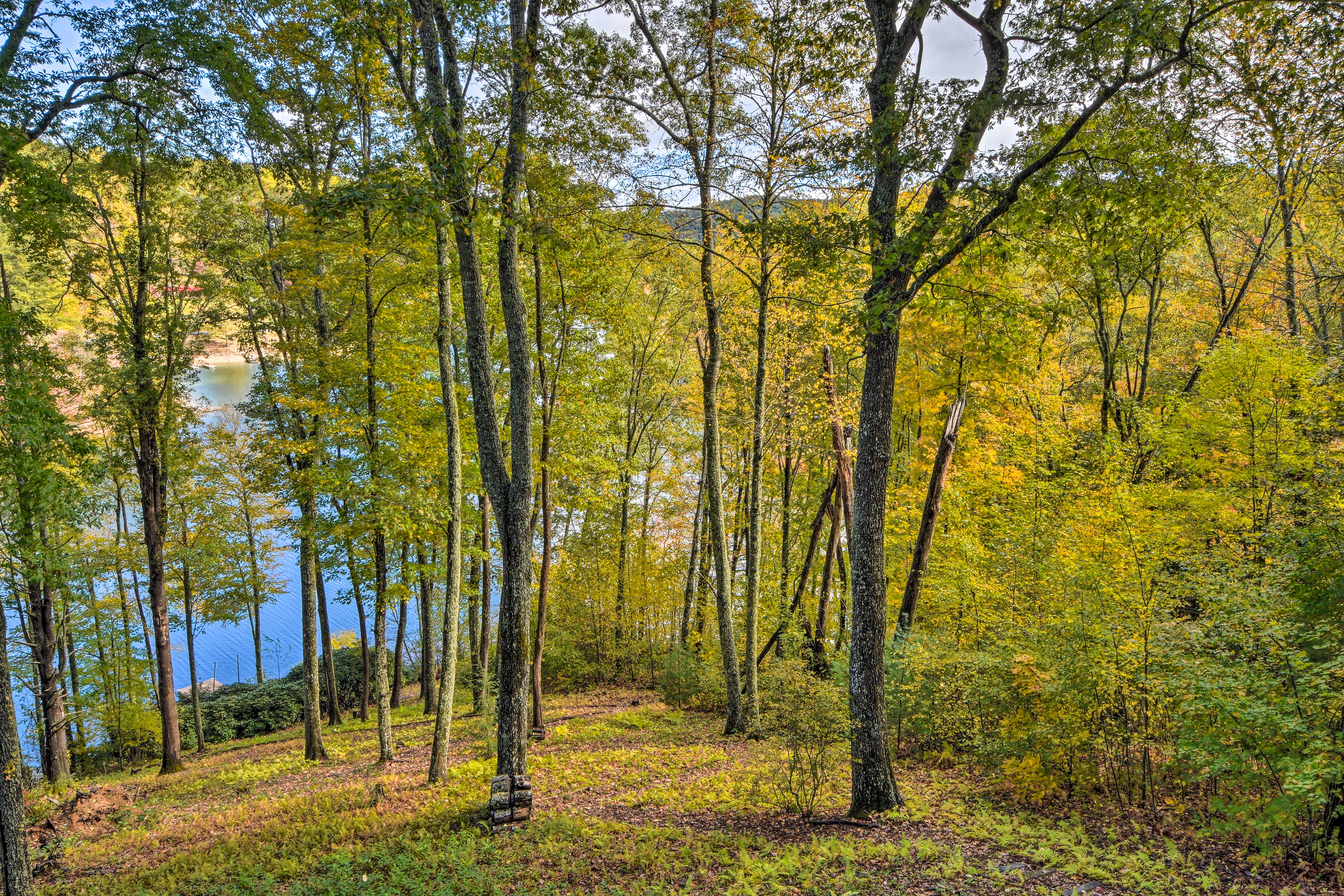 Follow the path down to the lake.