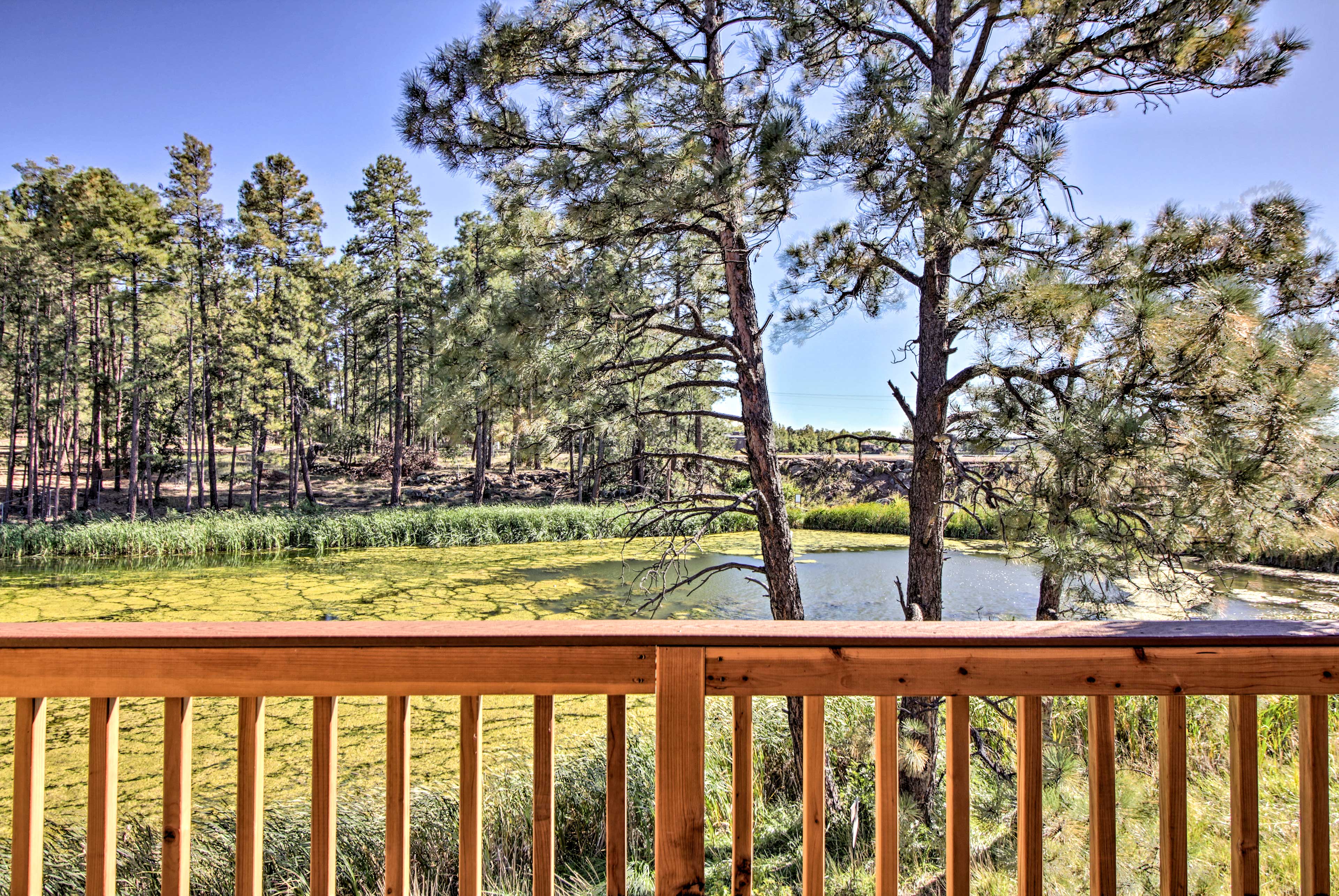 Top-Floor Deck Views