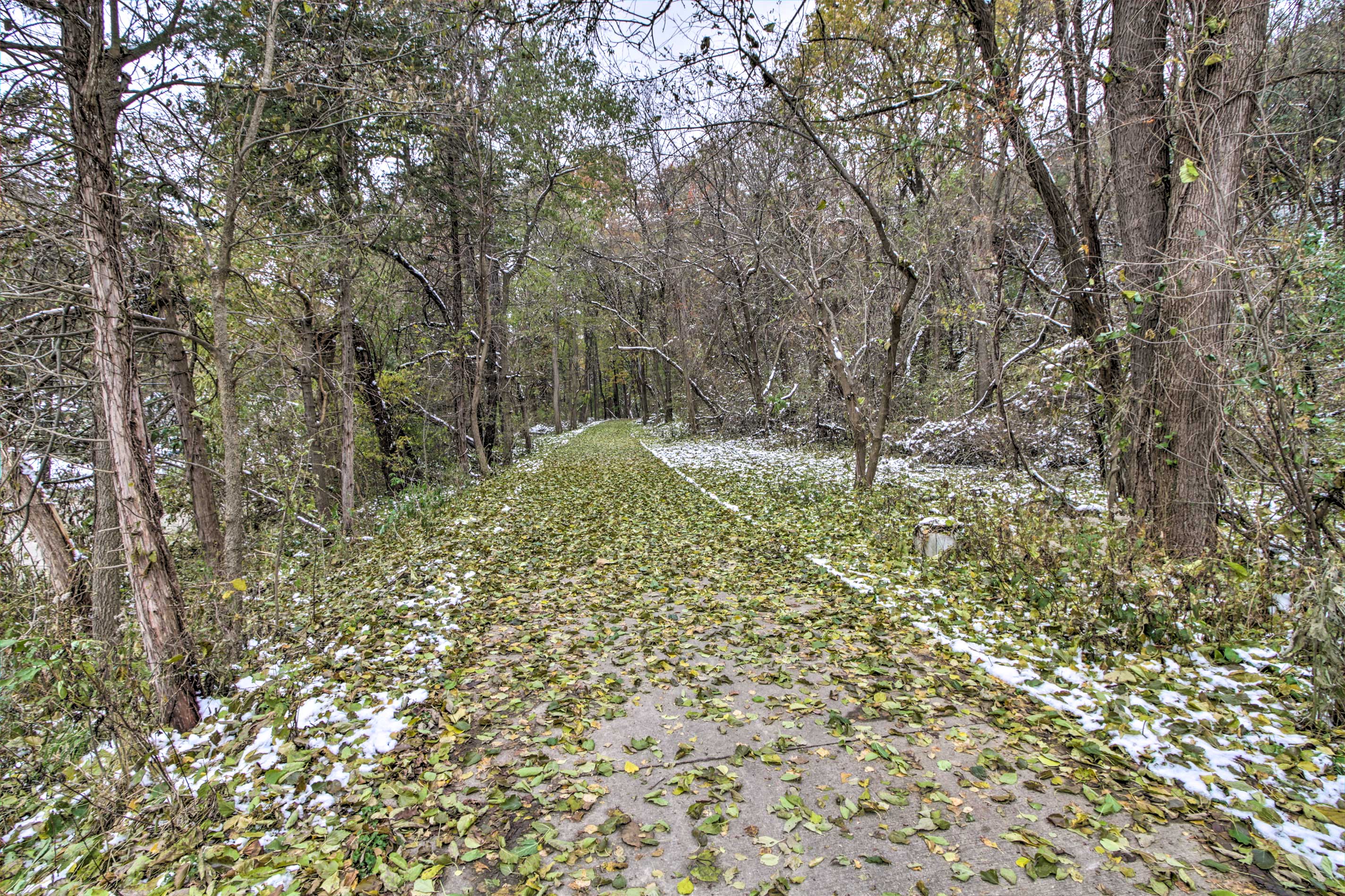 Nearby Park