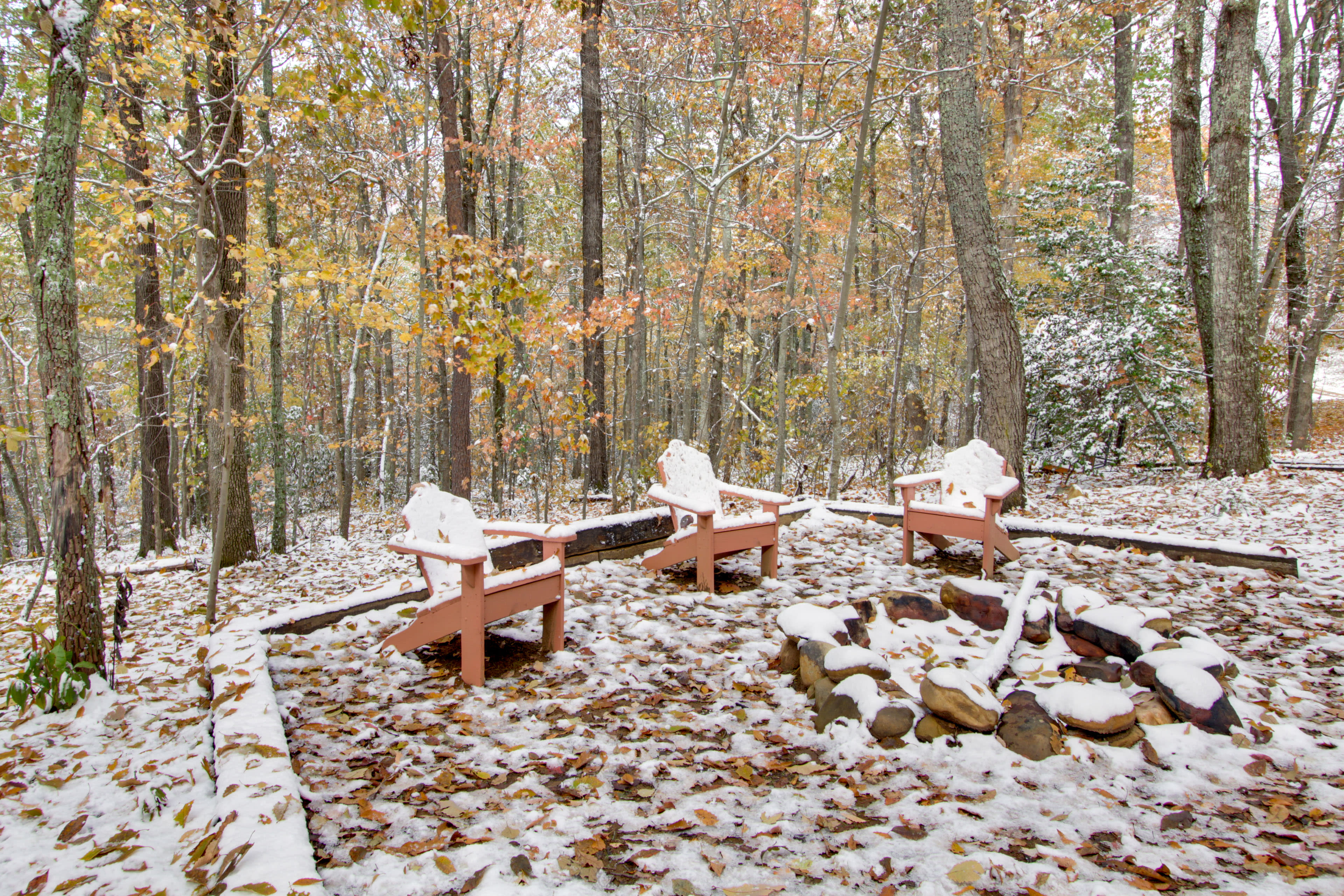 Backyard | Fire Pit