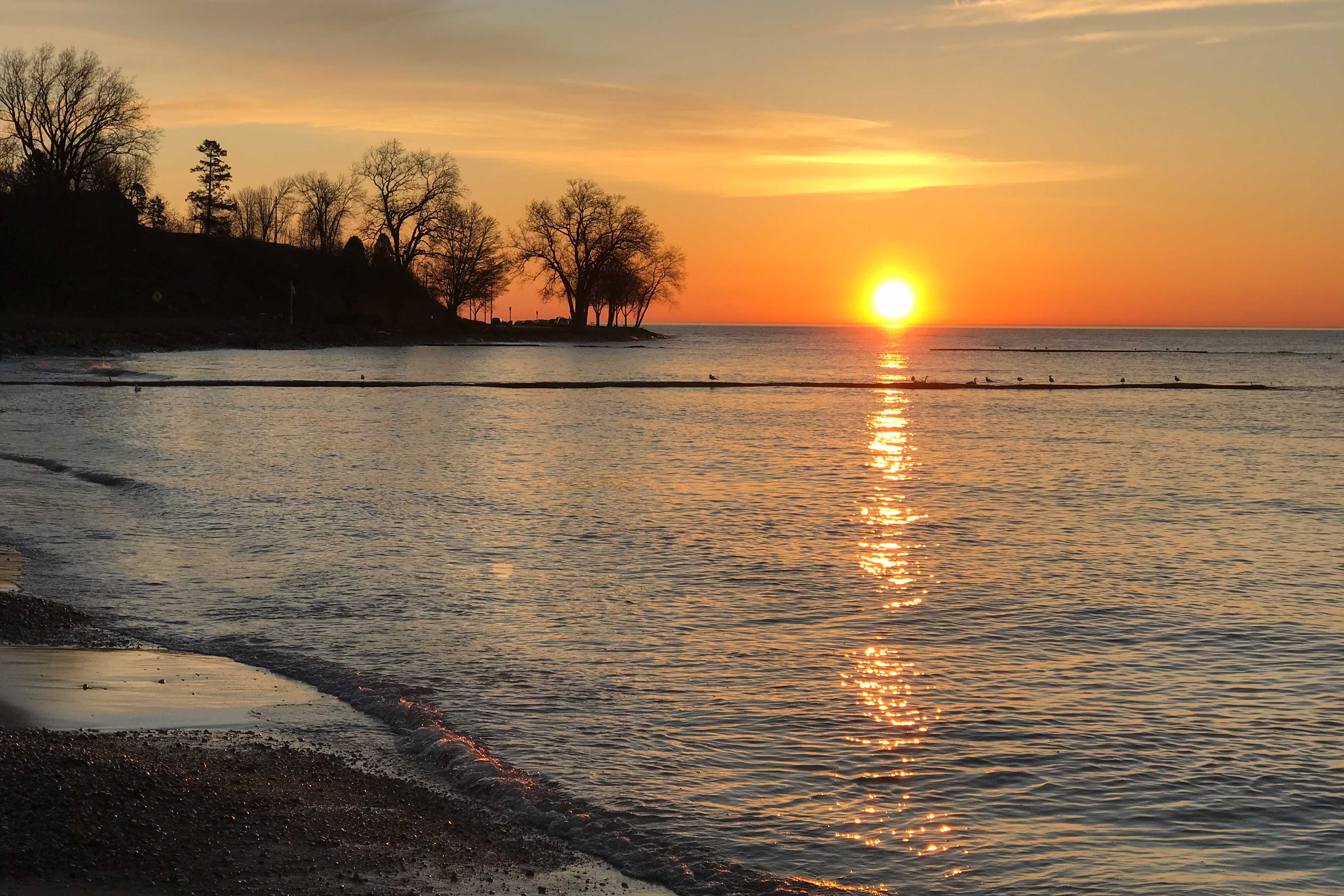 Lake Michigan (Walking Distance)