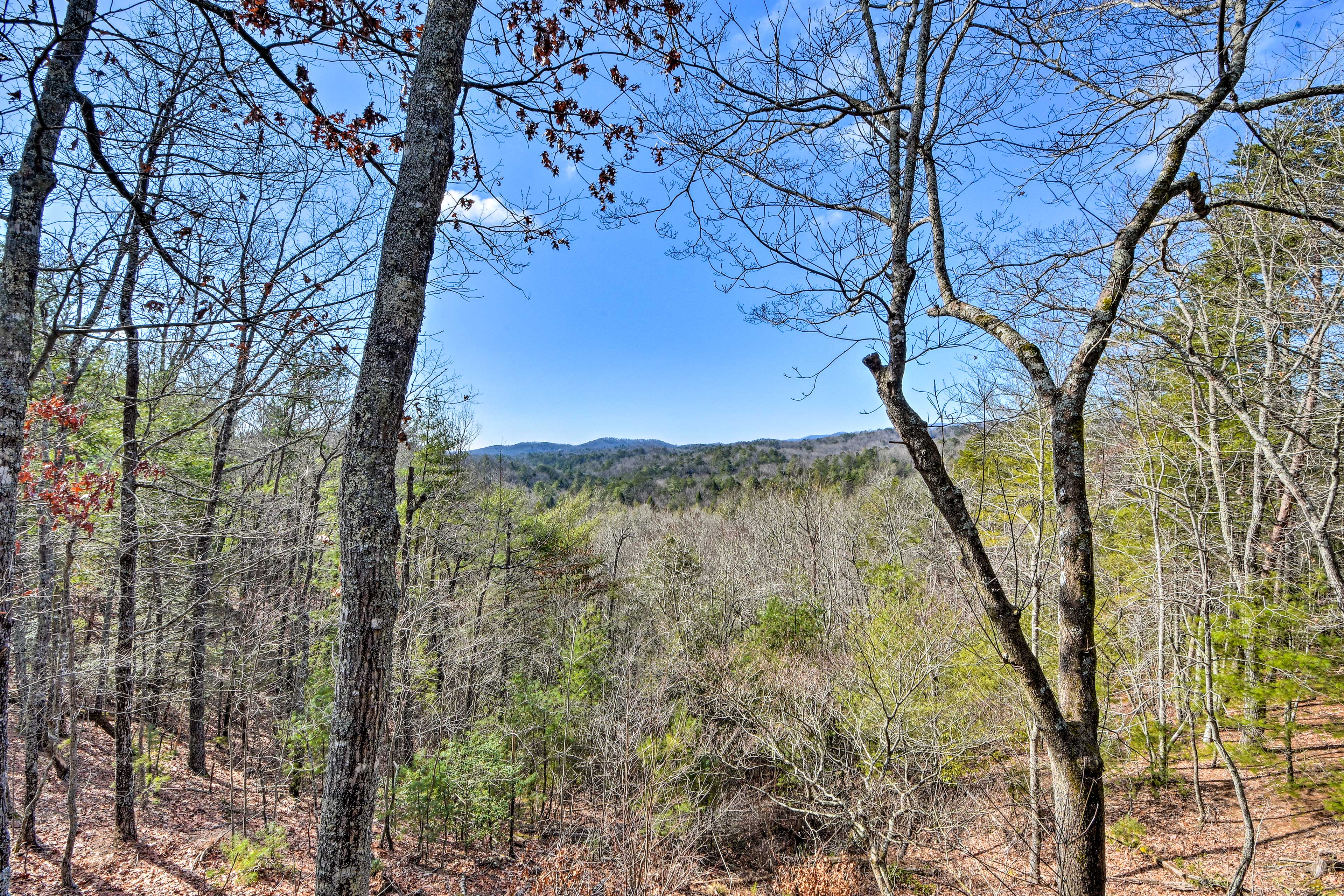 Appalachian Mountain Views