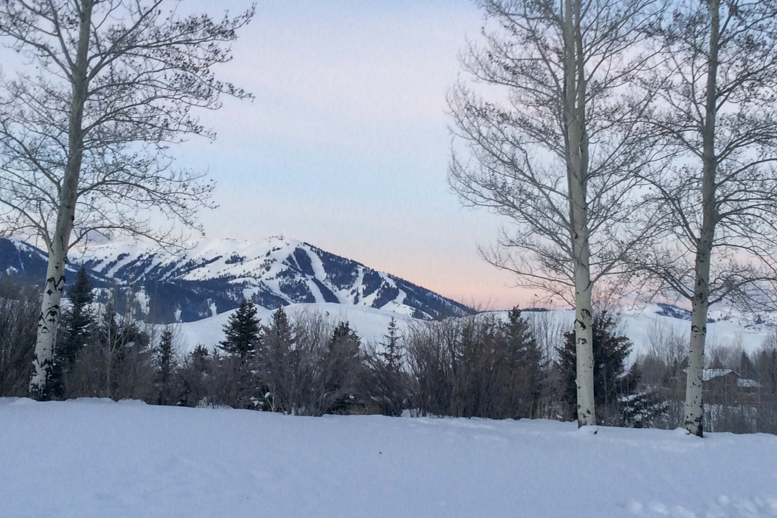 Private Yard | Ski Slope Views