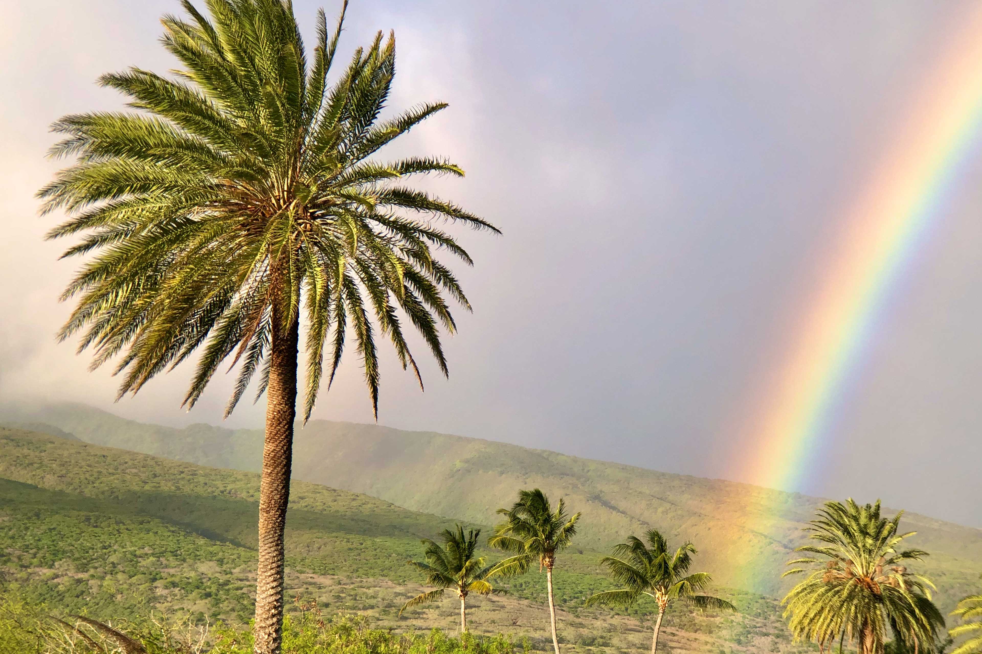 Molokai Destination