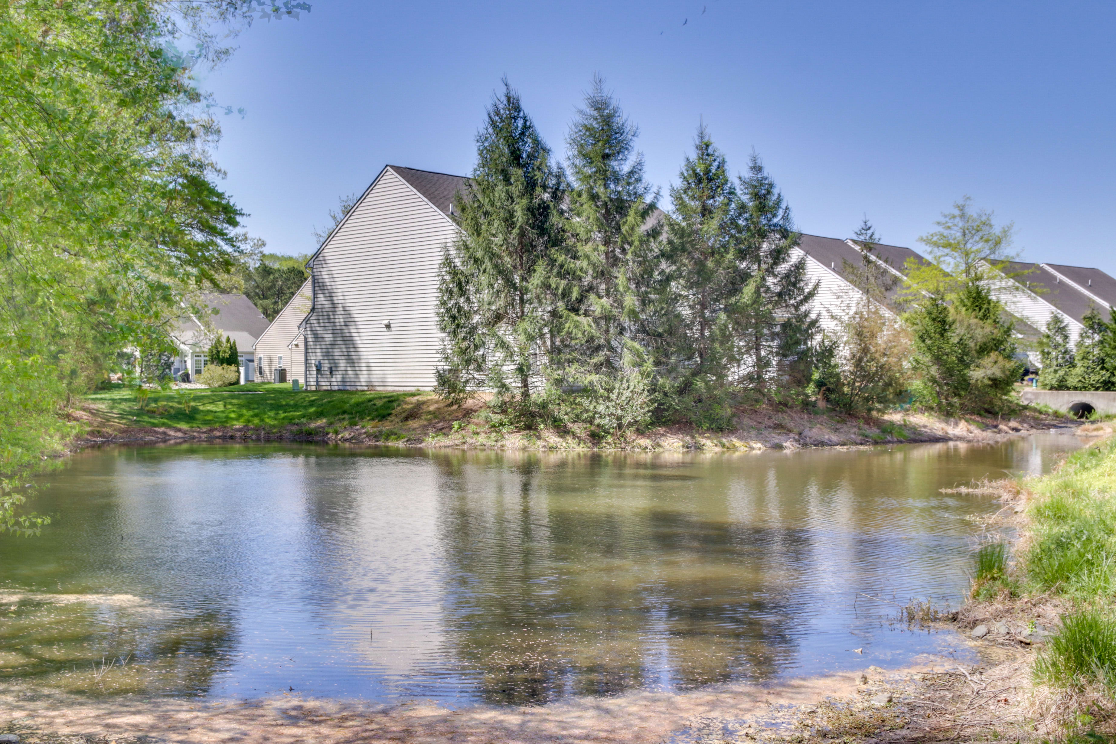 Neighborhood Pond