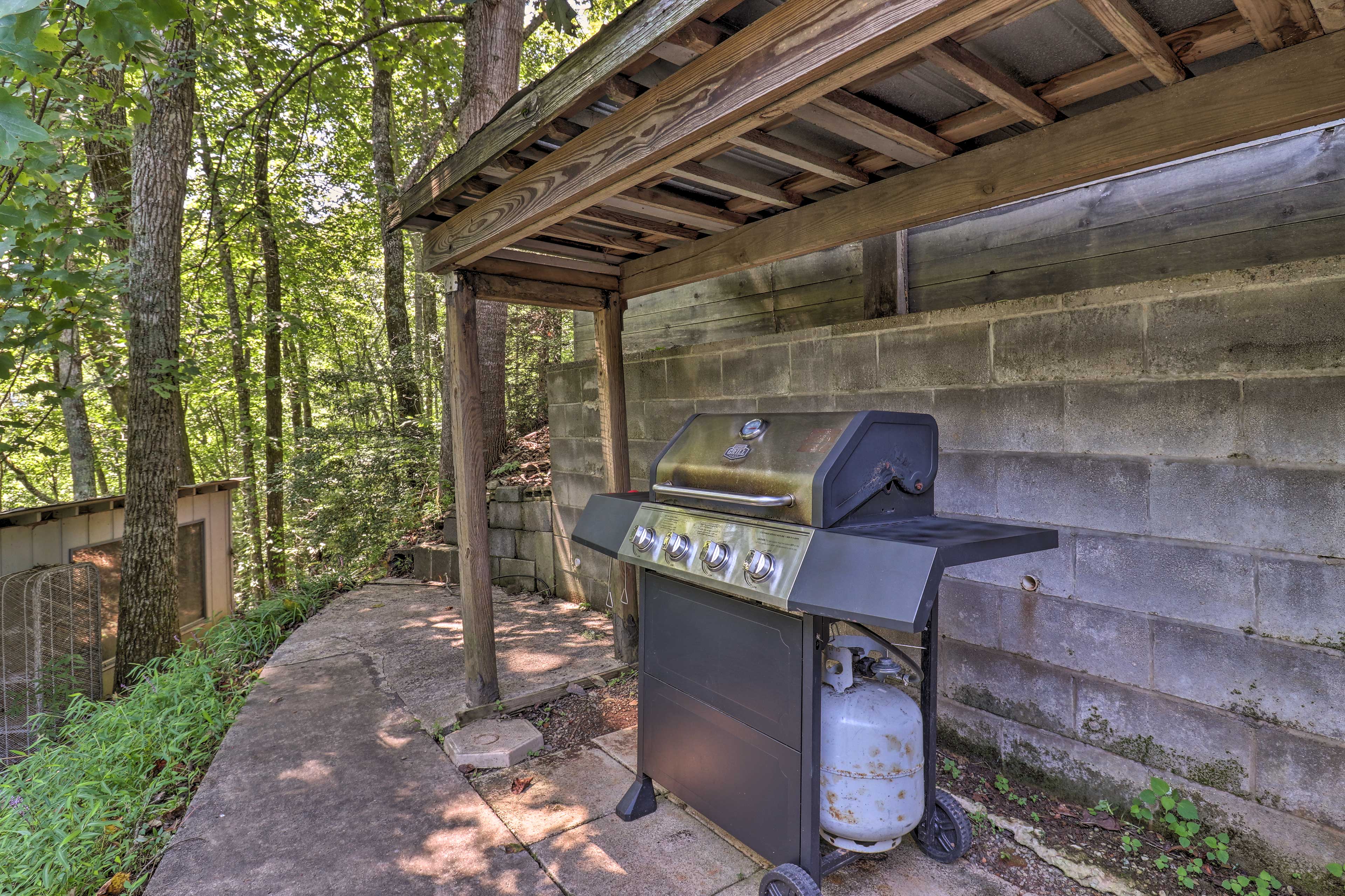 Lower Patio