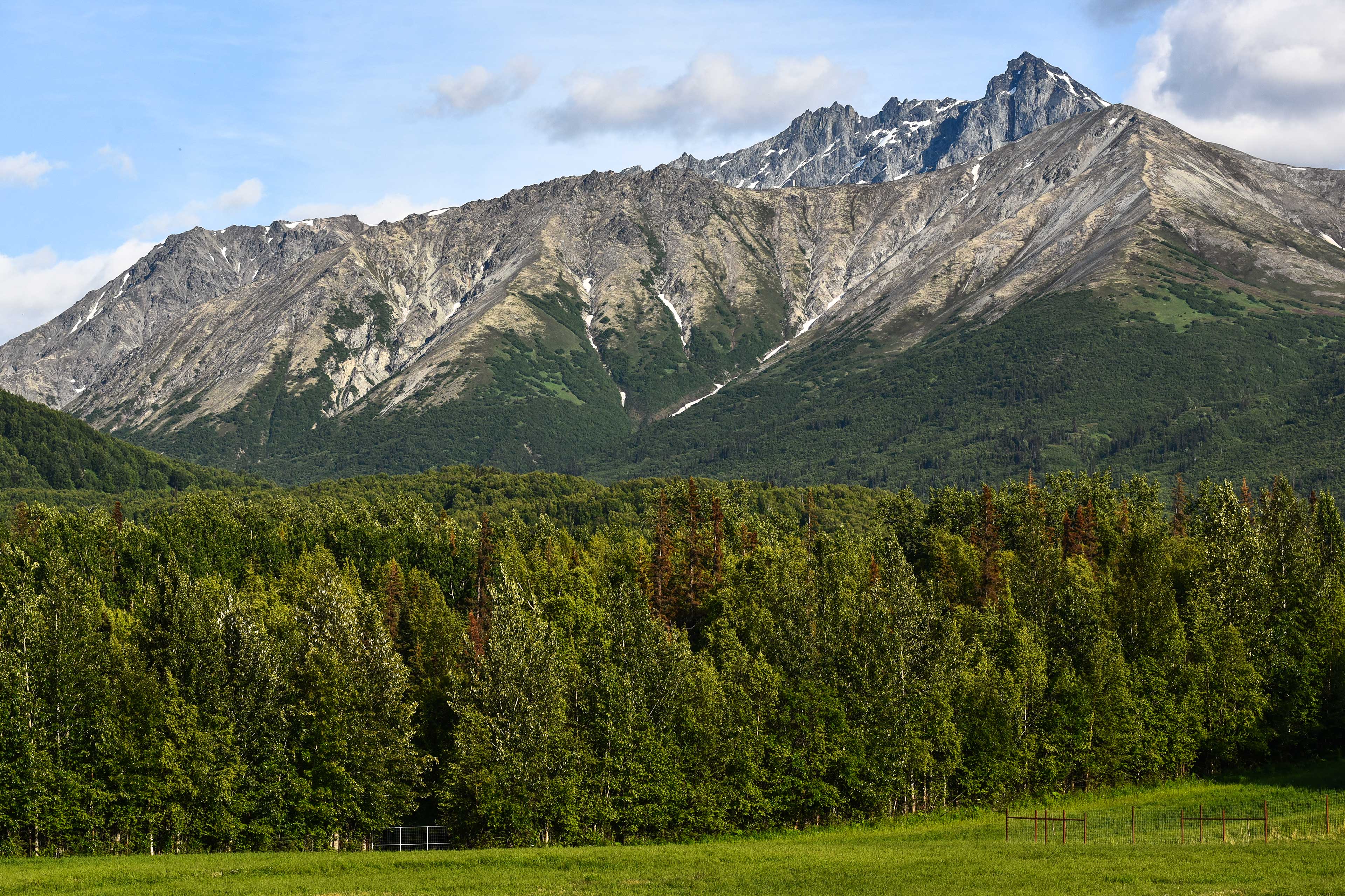 Mountain Views