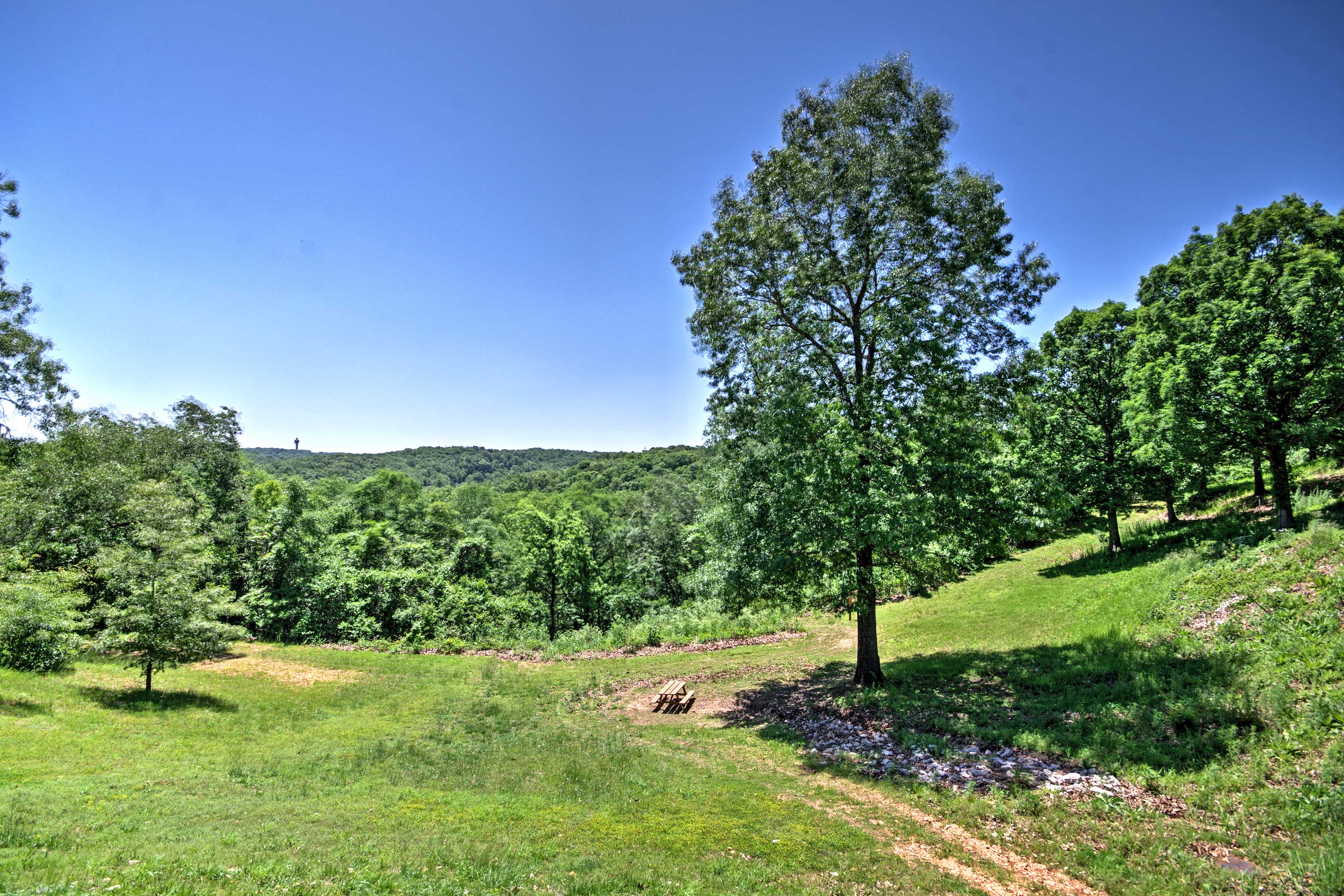 Get a lush view of the forest from scenic trails.