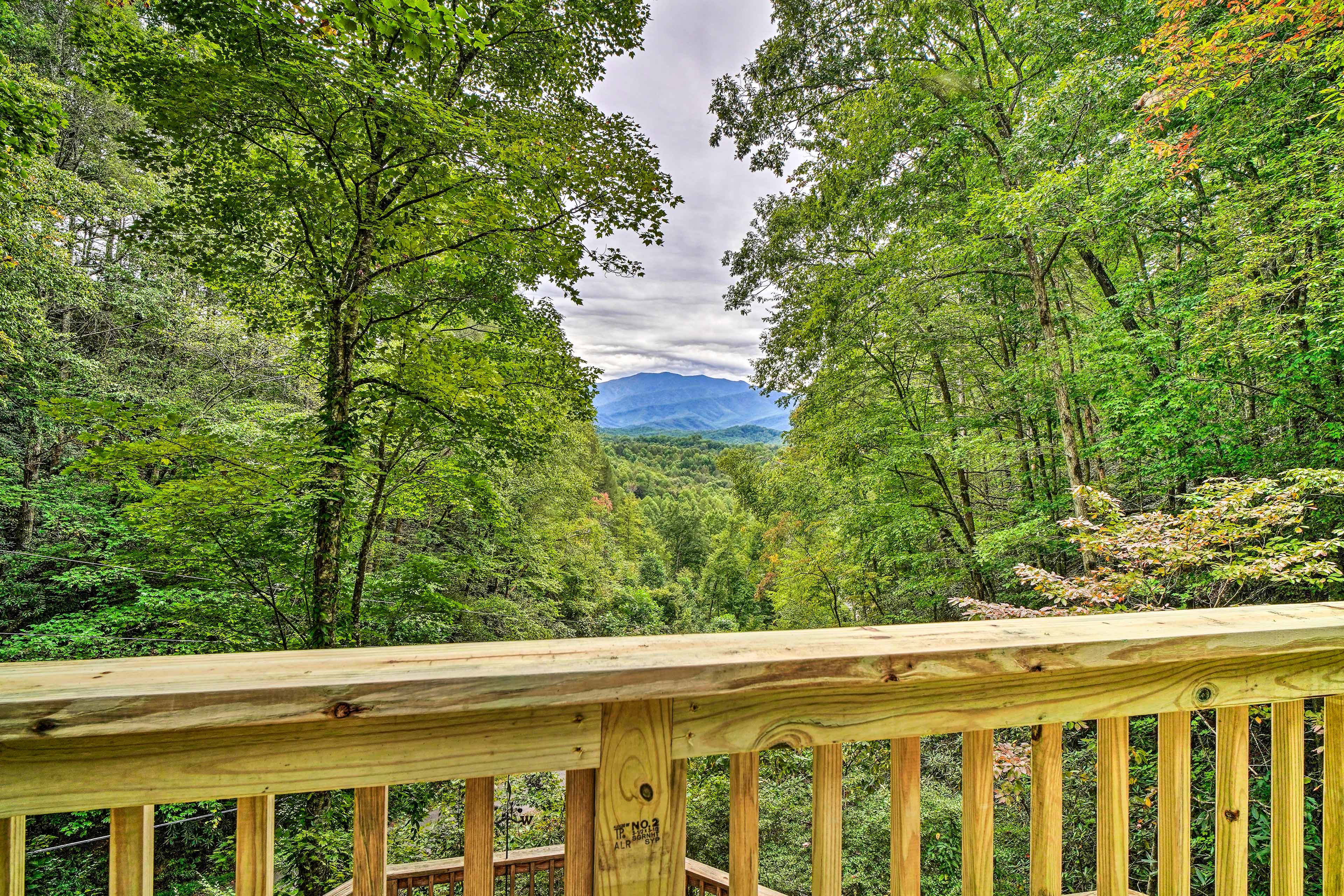 Mountain/Forest Views