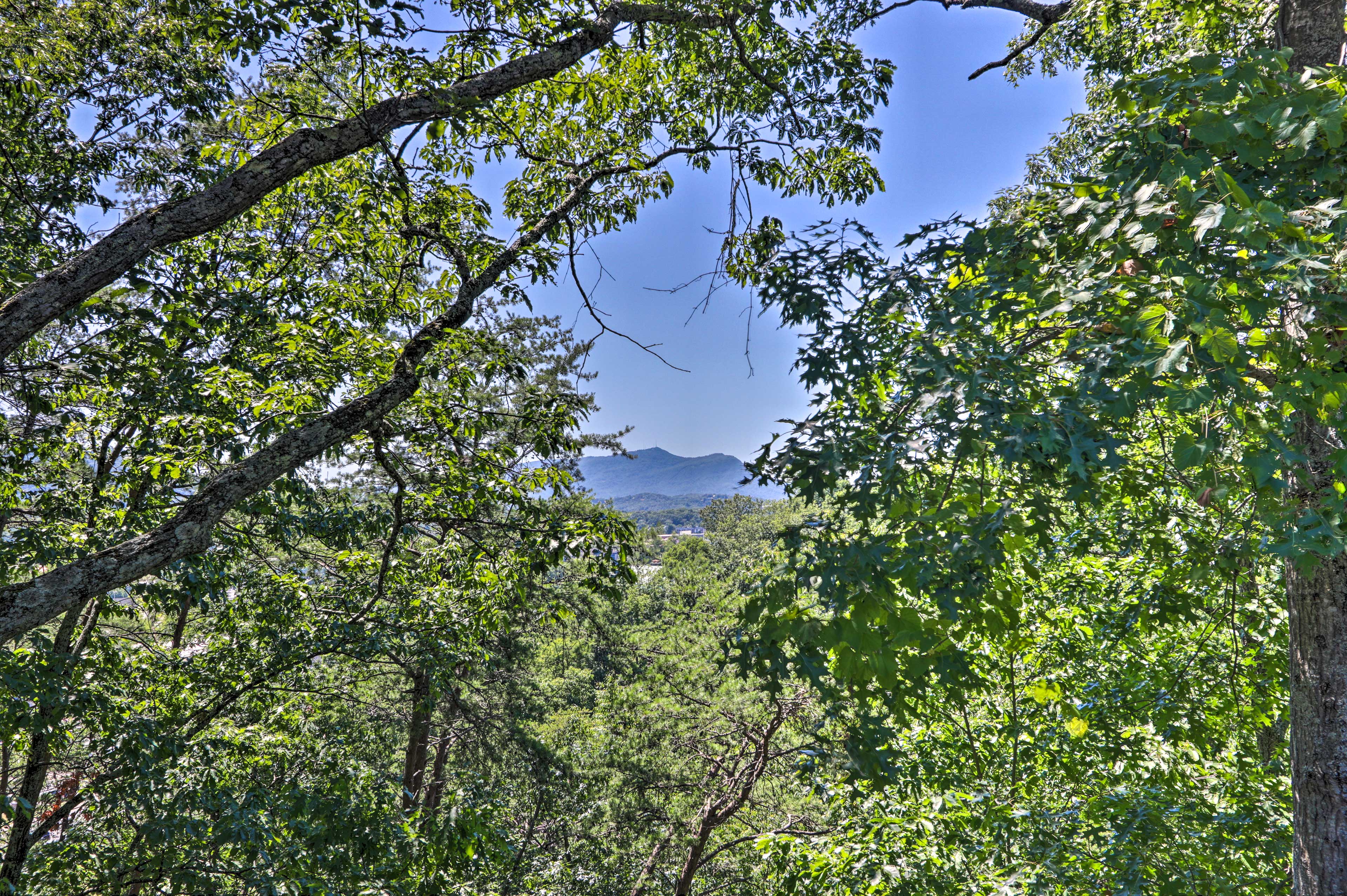 Surrounding Views