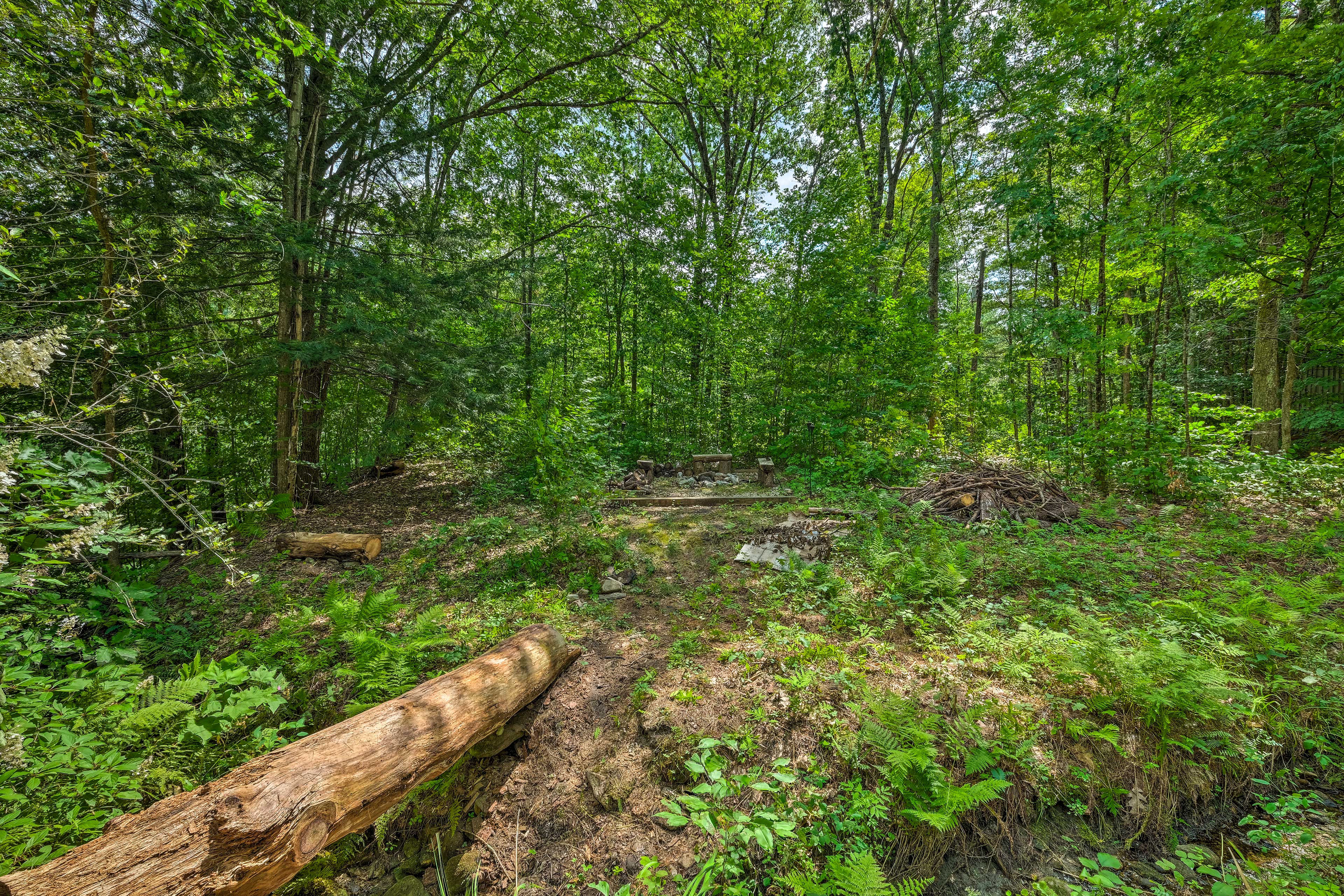 The surrounding forest creates a private space.