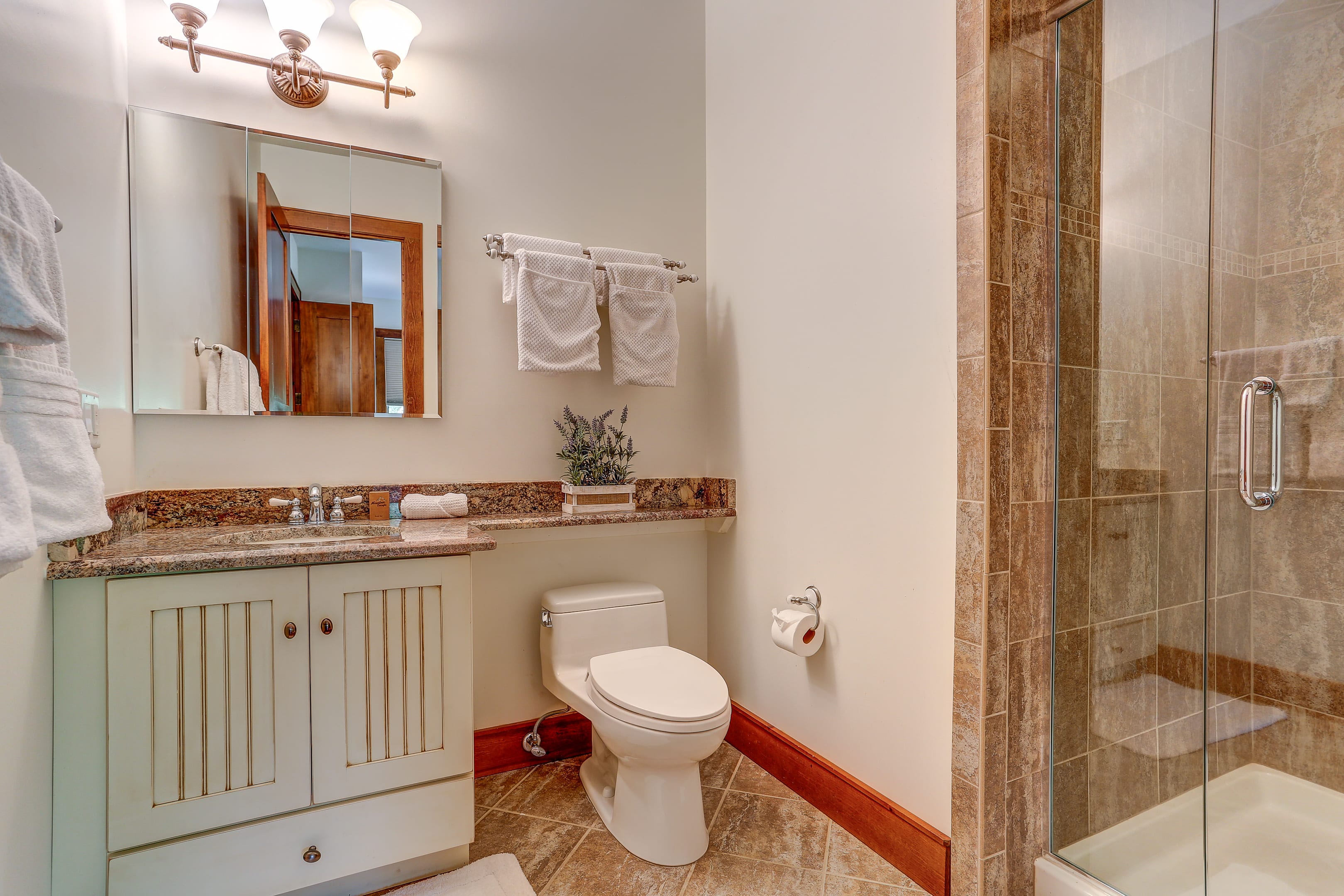 En-Suite Bathroom | Main Level | Walk-In Shower