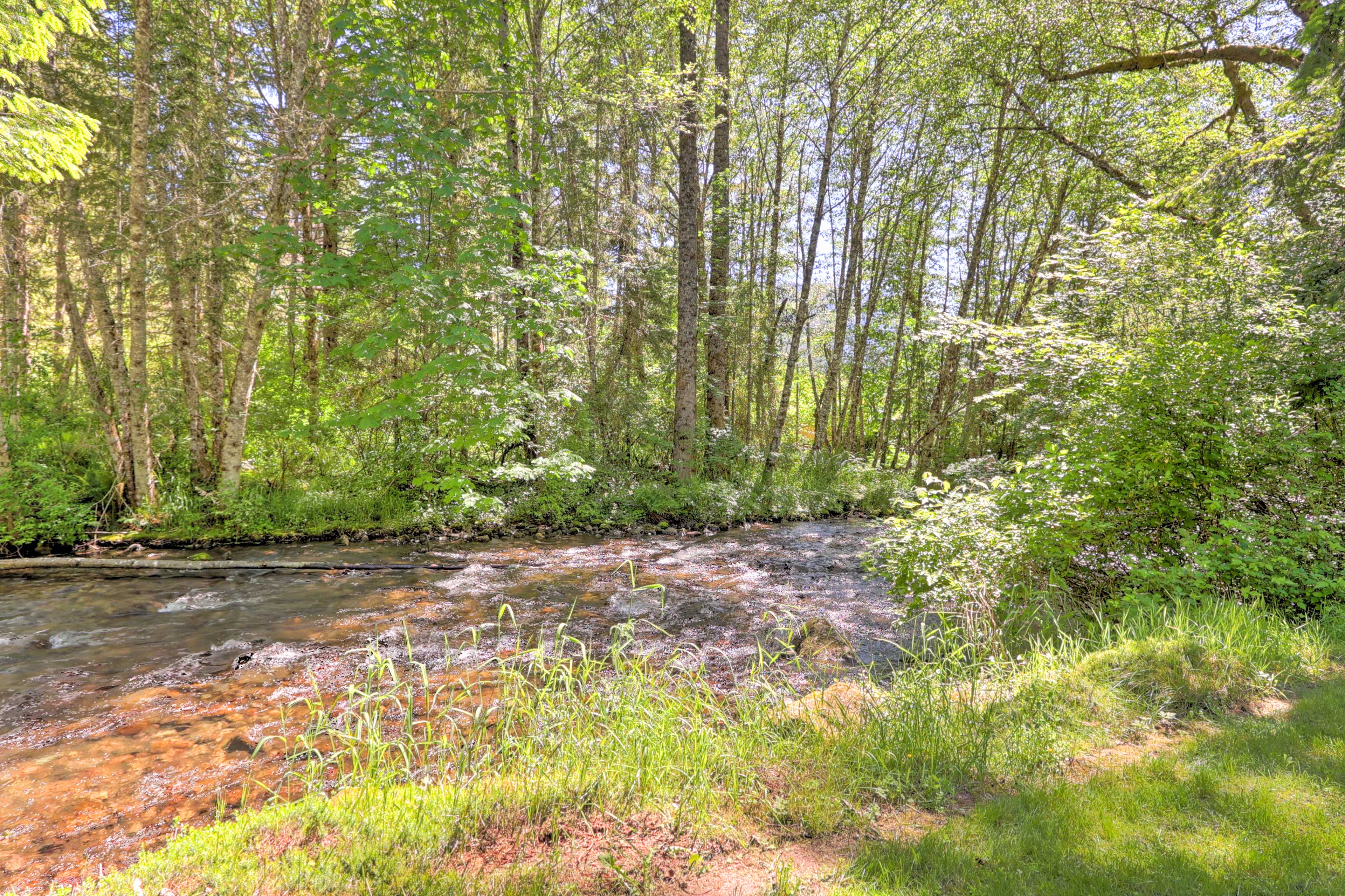 Big Creek Views