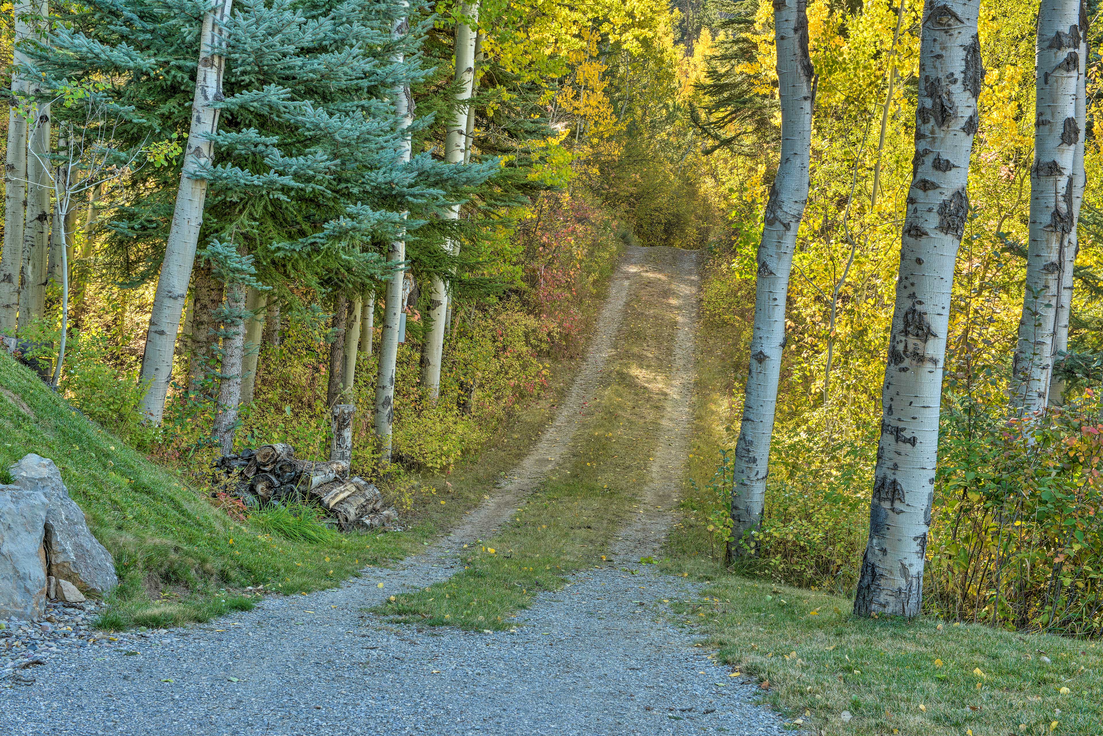 Parking | Steep Gravel Driveway (1 Vehicle) | 4WD Recommended