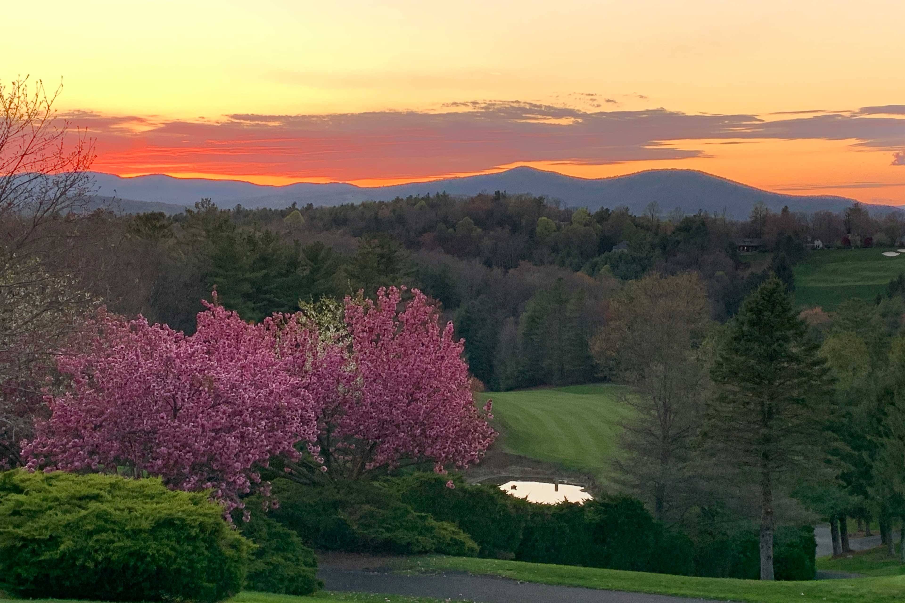 Private Deck | Sunset Views