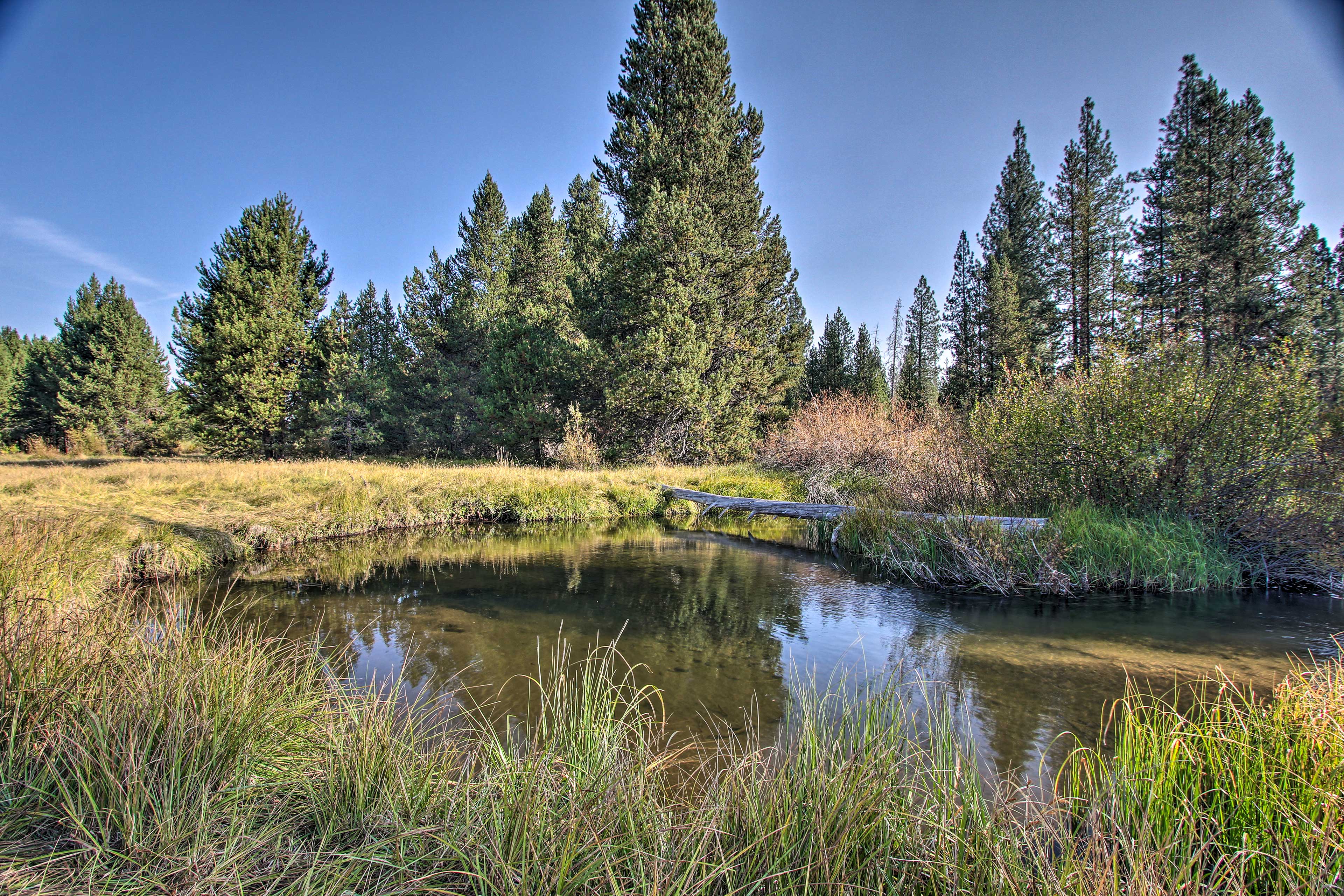 Private Pond