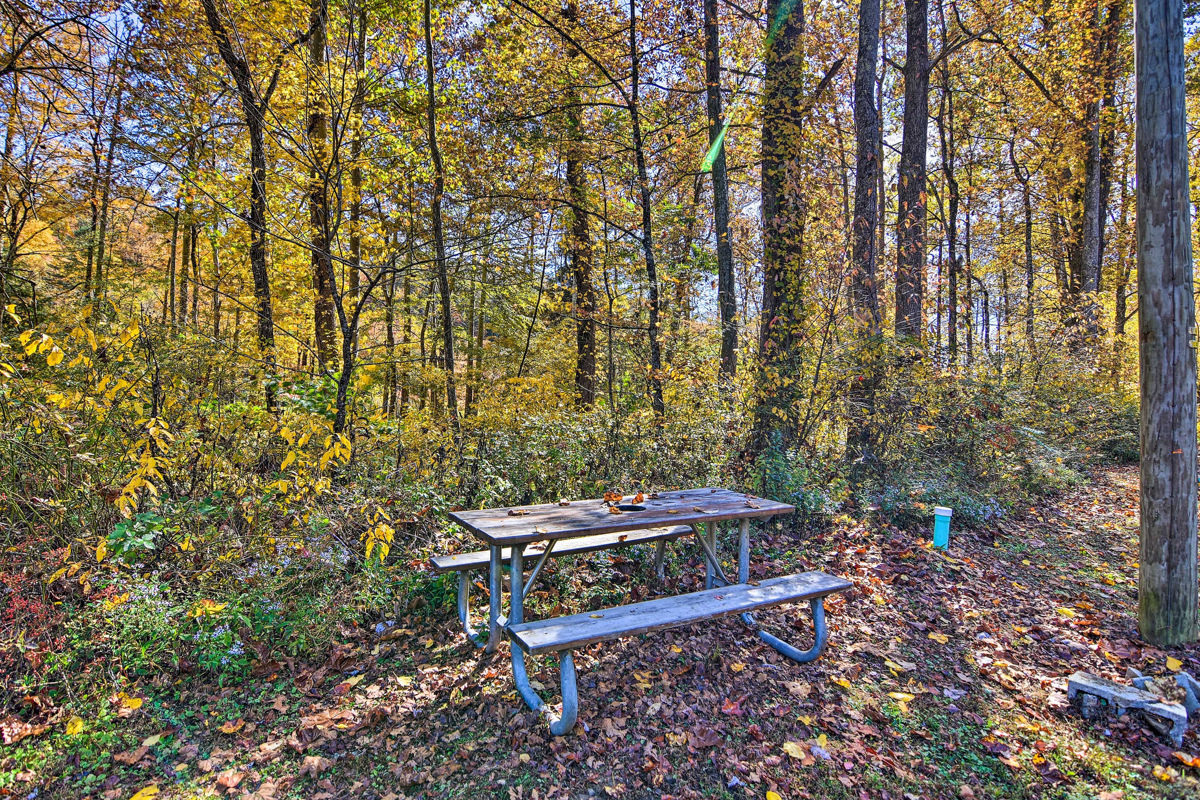 Outdoor Dining Table