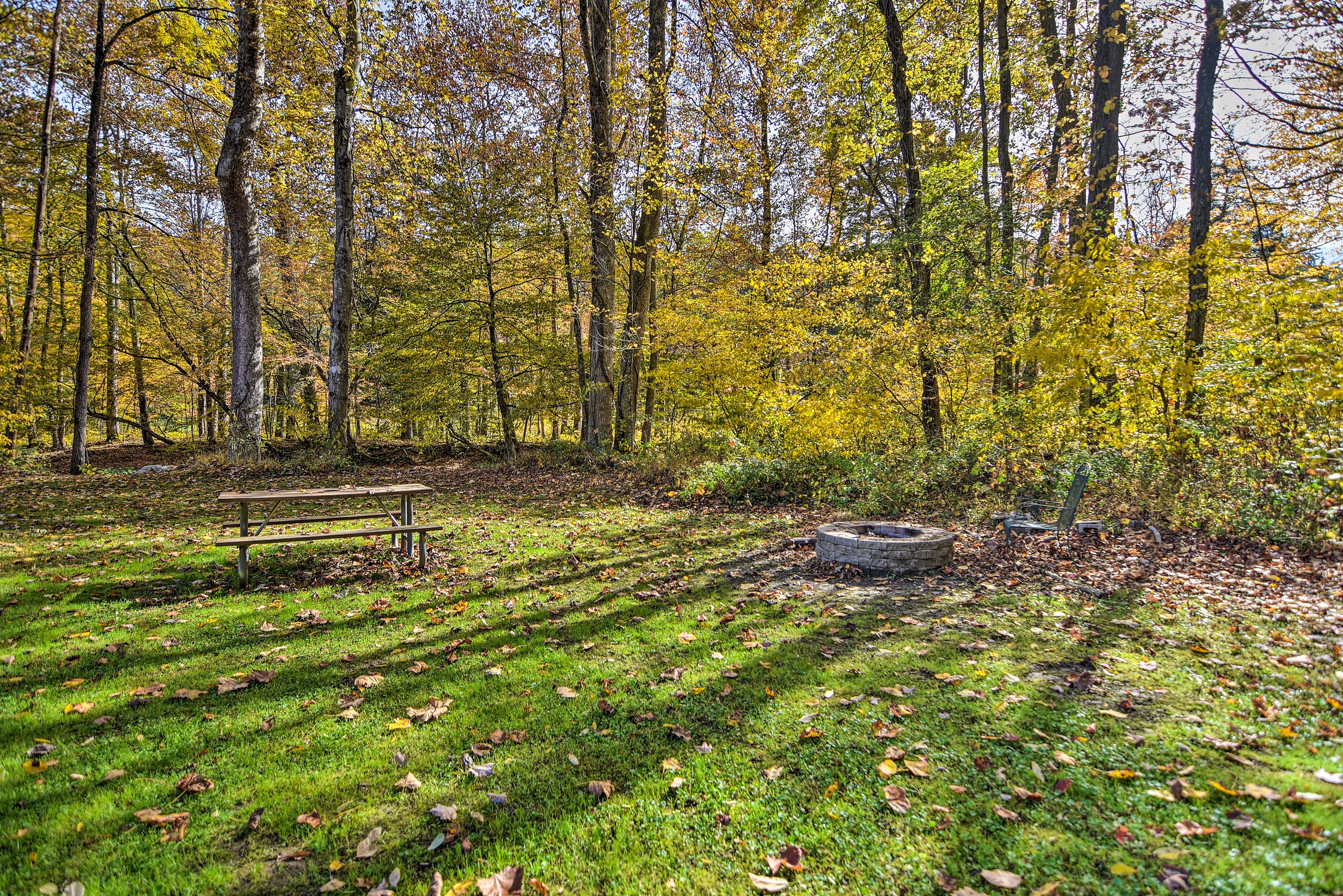 Backyard | Fire Pit | Picnic Table