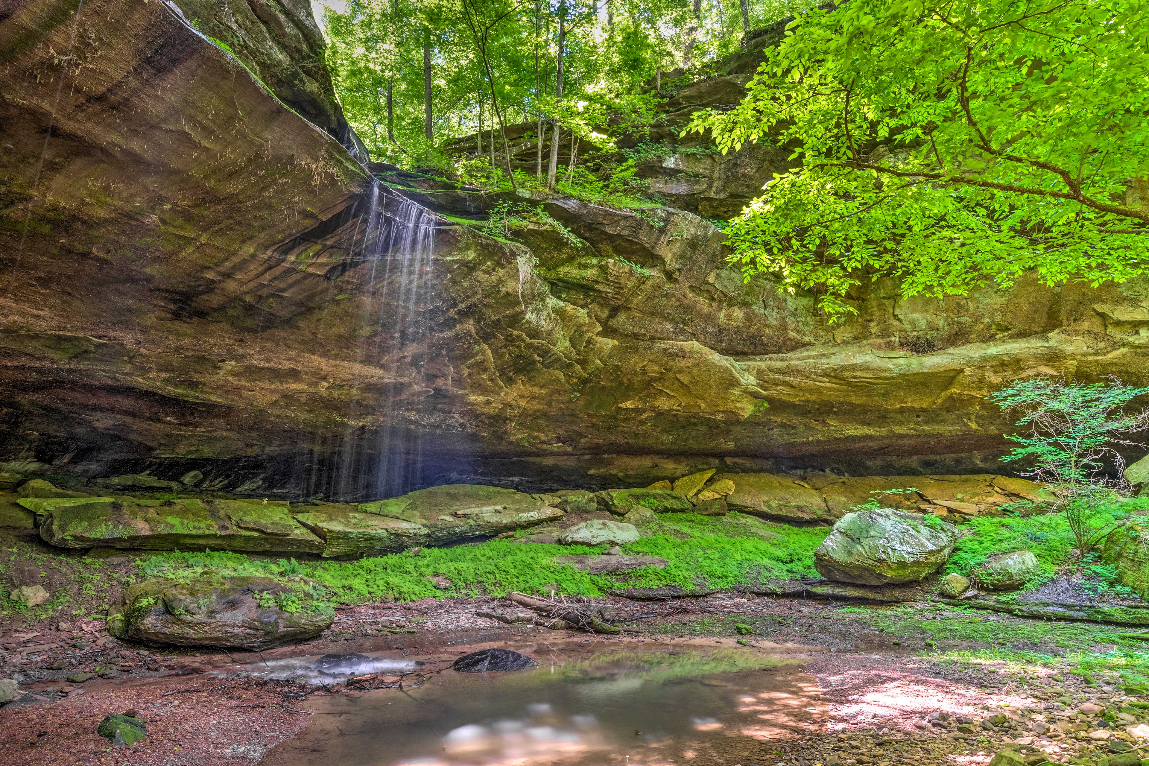 Mammoth Cave Cabin Rentals and Resort | On-Site Cave/Waterfall