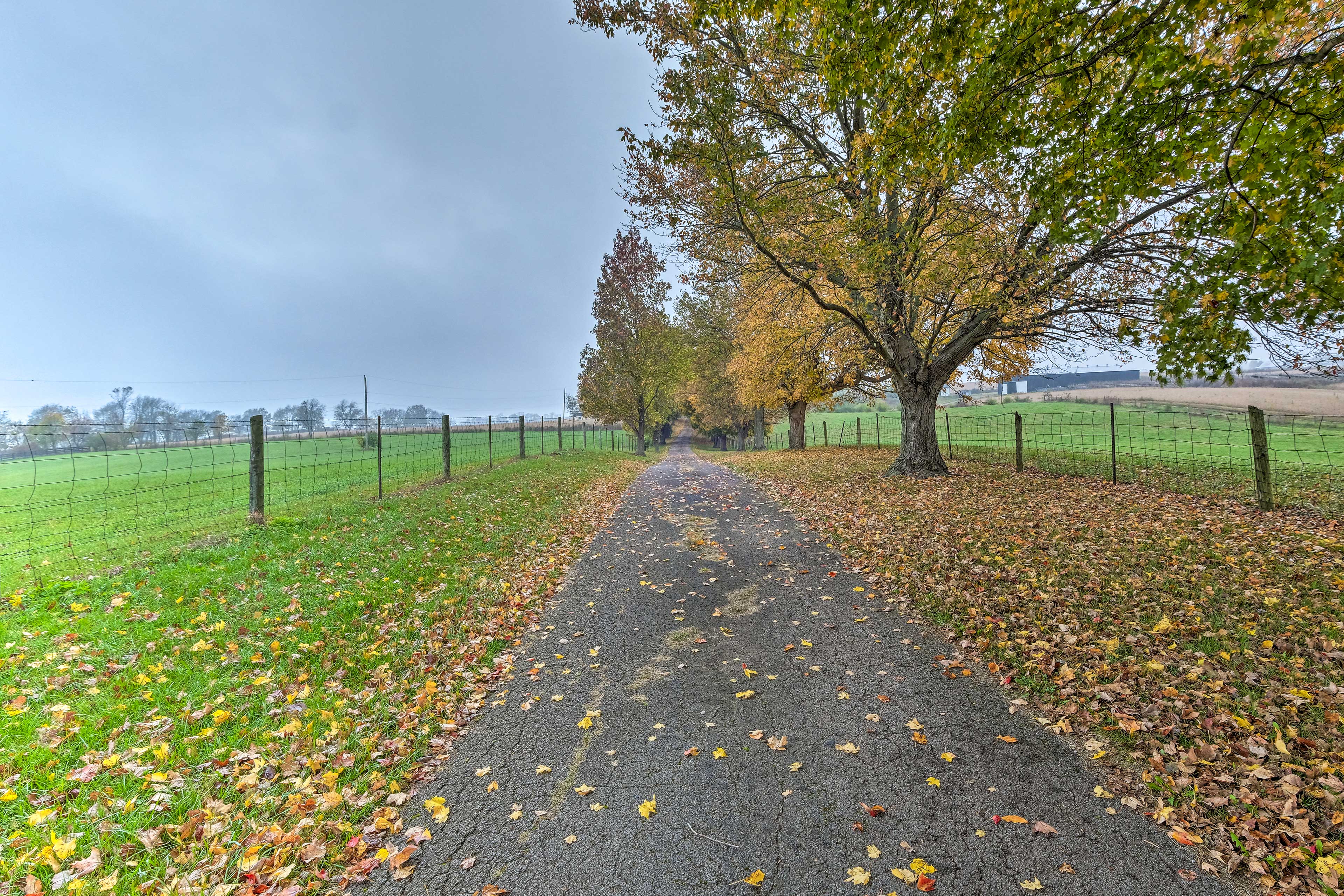 Parking | Driveway (3 vehicles) | RV & Trailer Parking