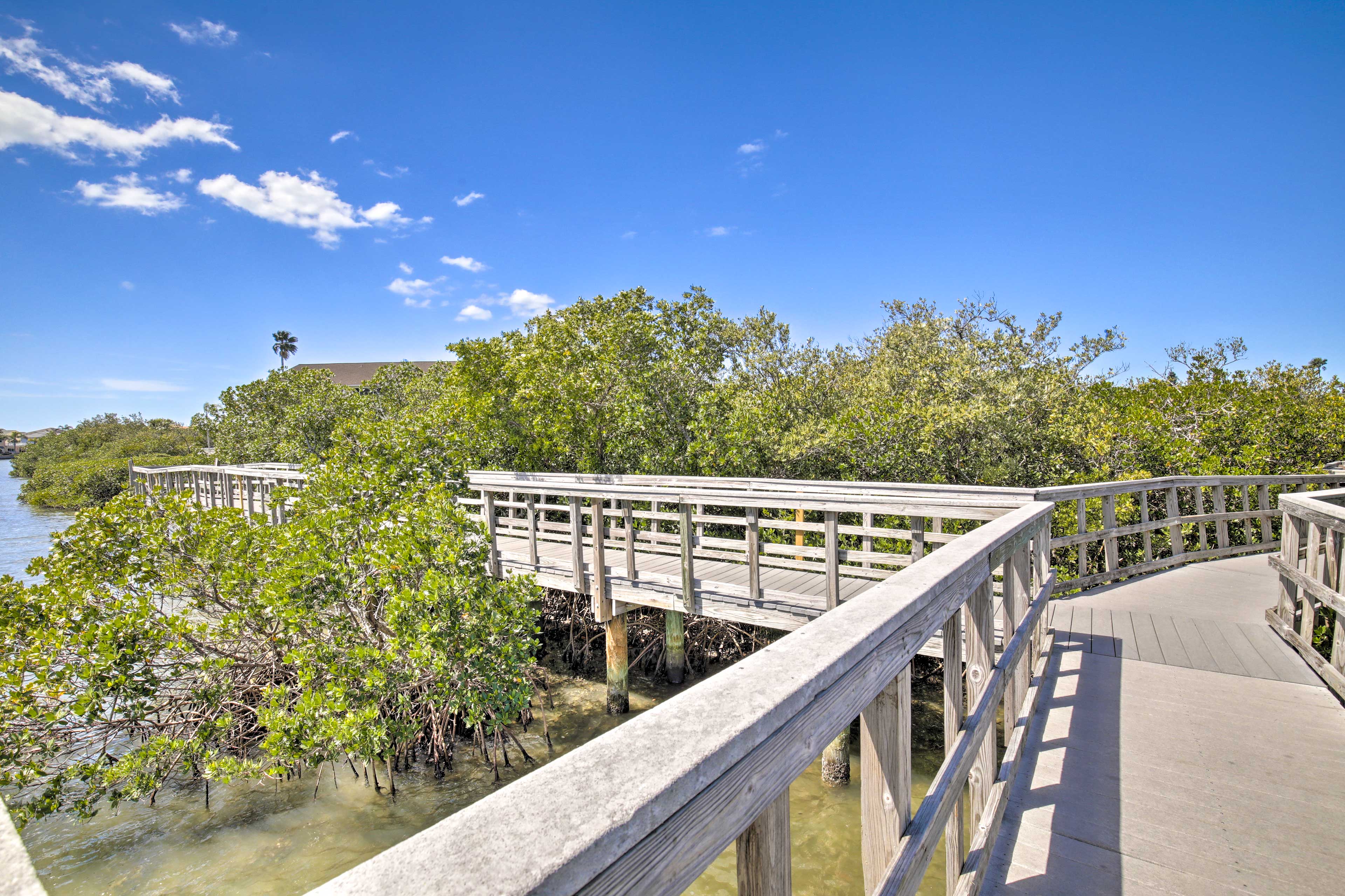 Indian Rocks Beach Nature Preserve (2 Blocks Away)