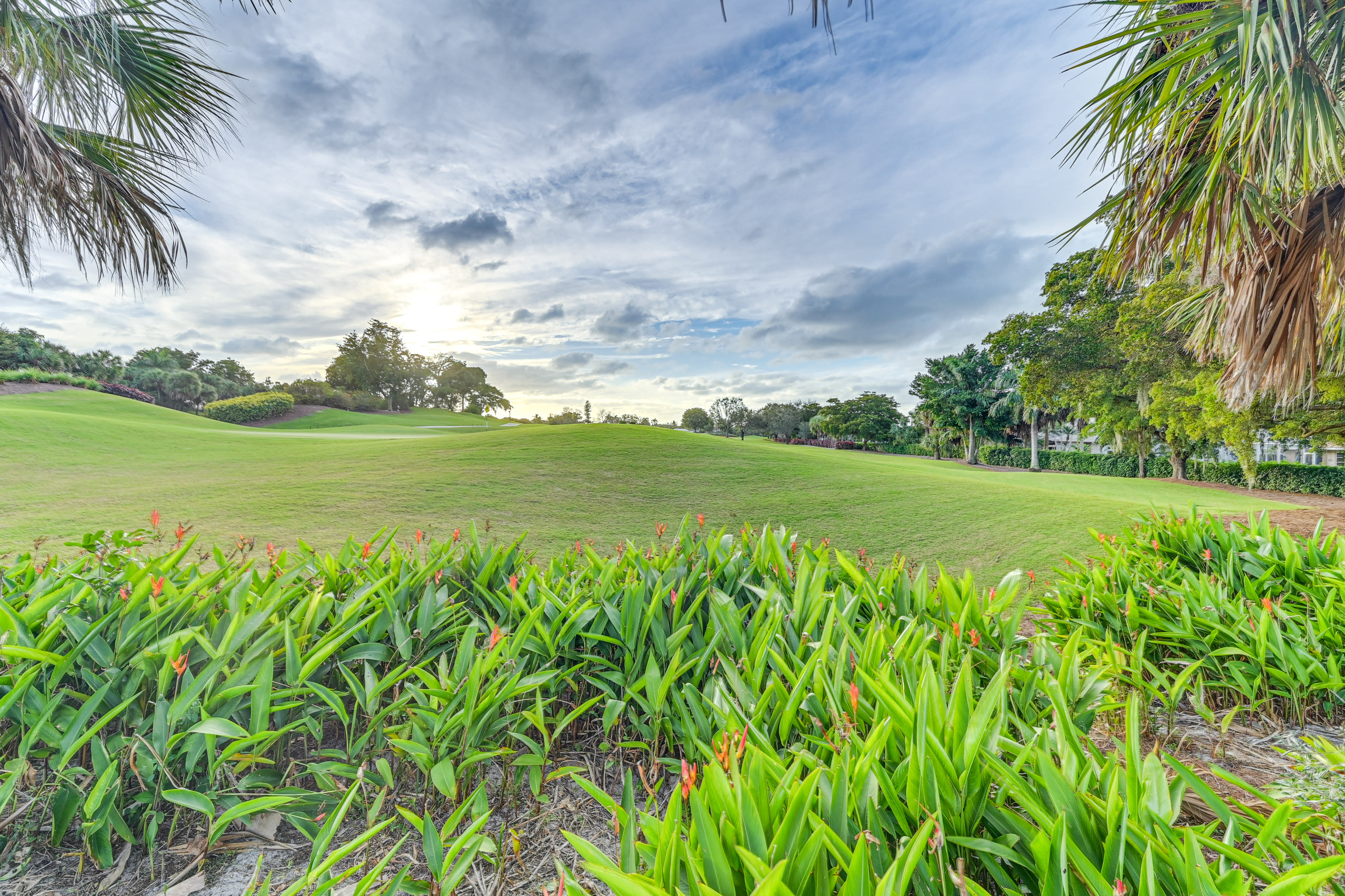 Golf Course View