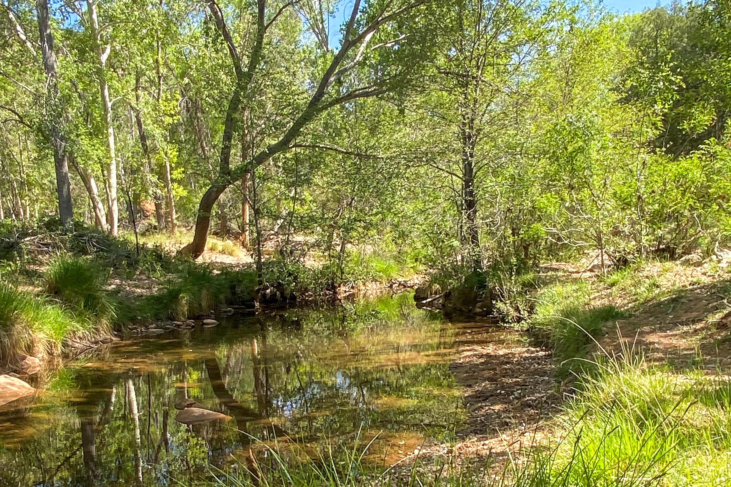 On-Site River | Trout Fishing