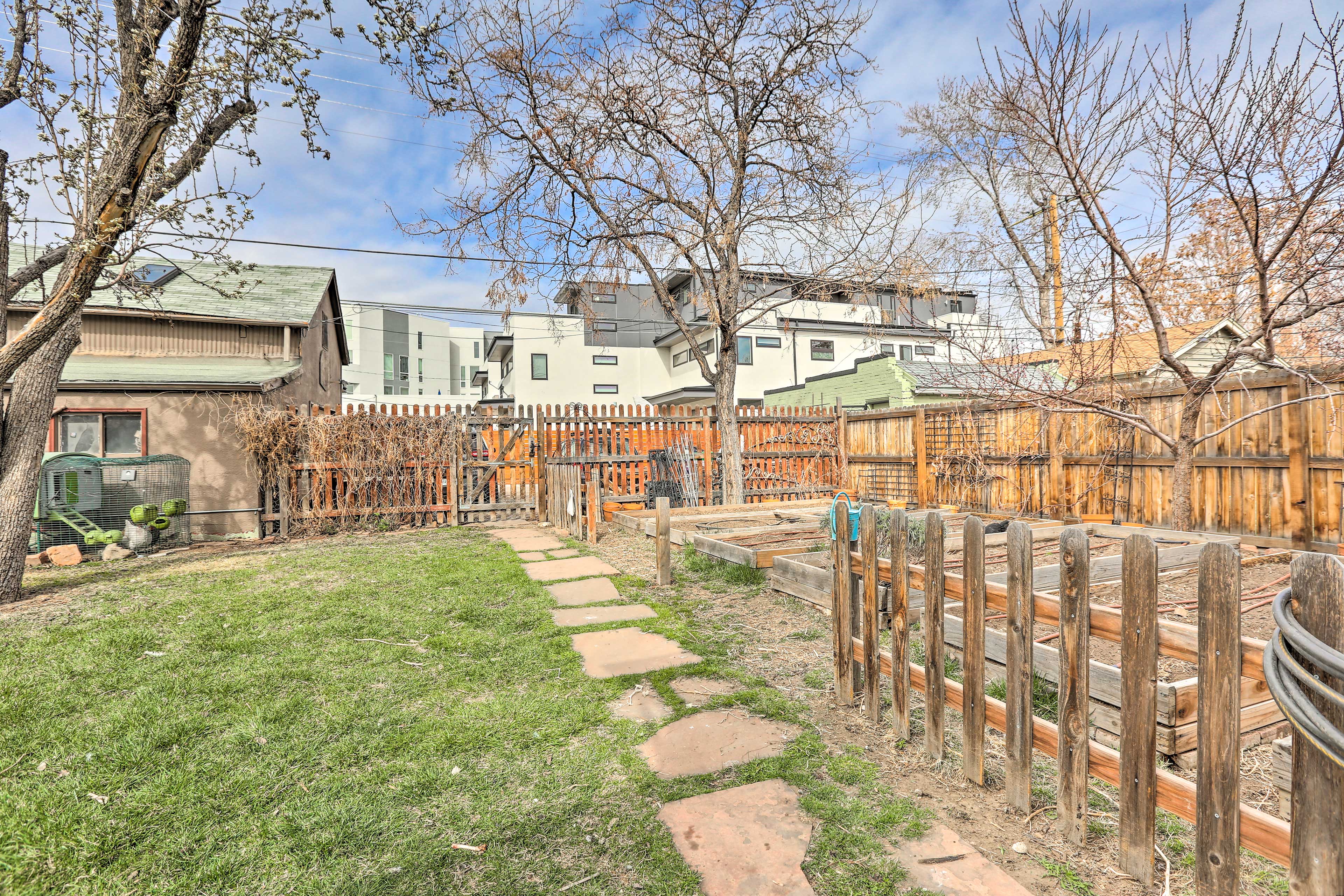 Spacious Back Yard | Garden