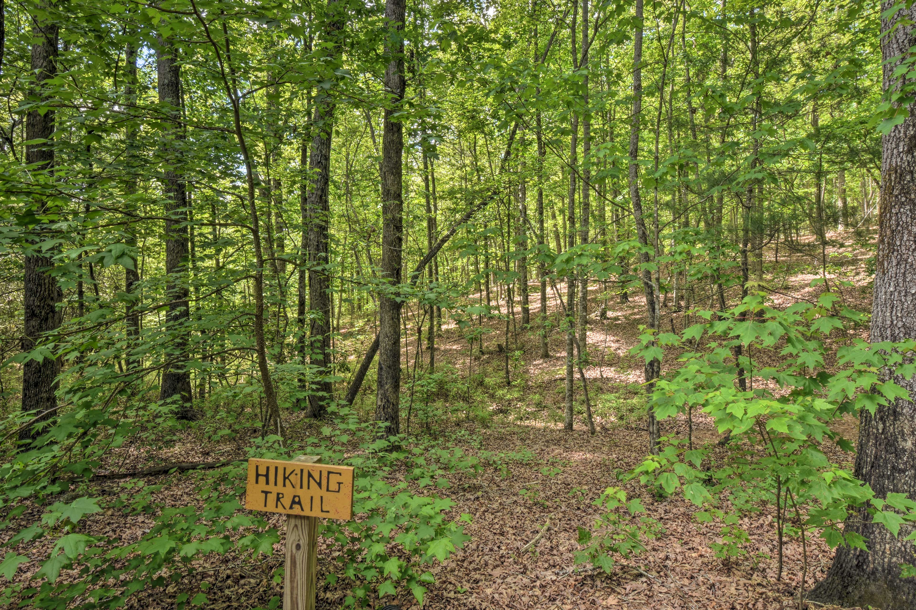 Hiking Trails On-Site